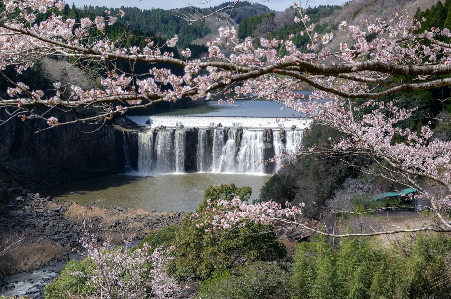 Hermosa vista de una cascada rodeada de cerezos en flor y un lago