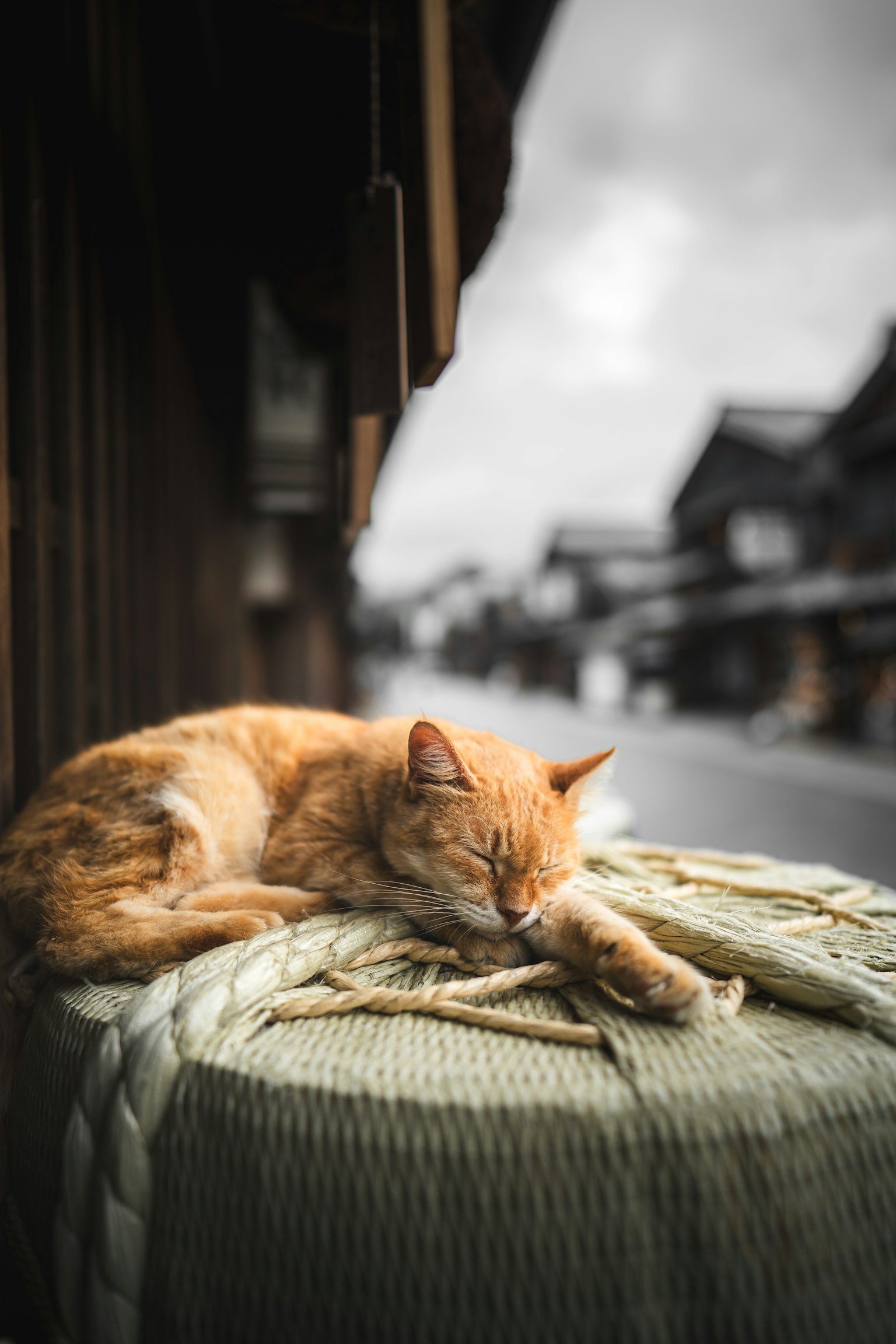 photo-qGHwszHf16sQAWy2RBJa-image