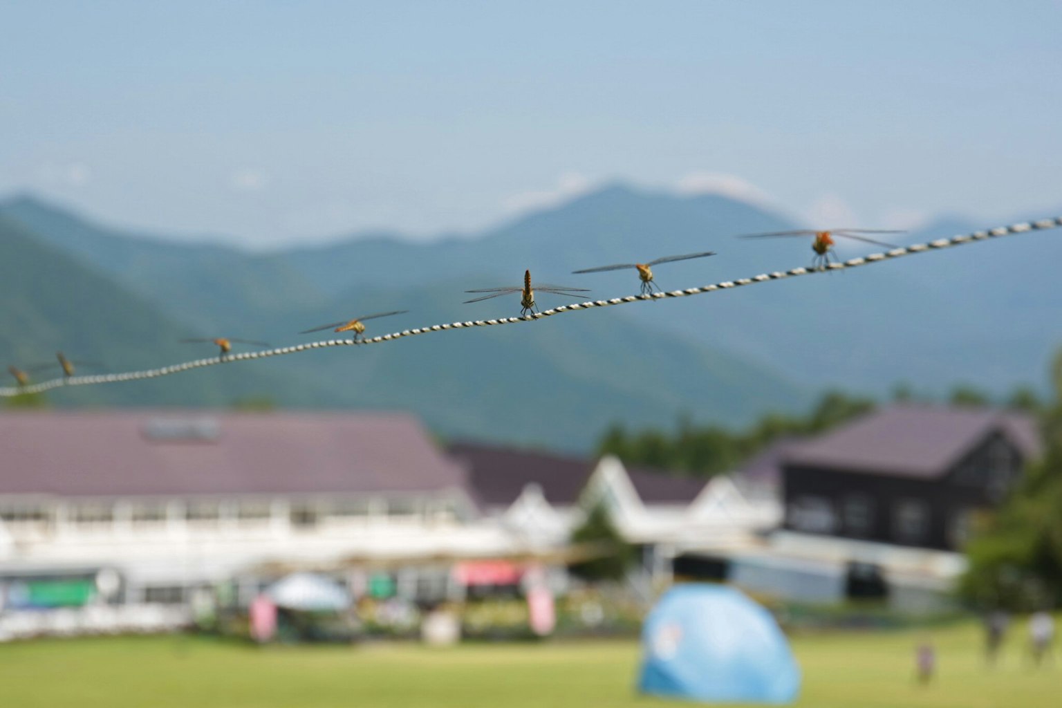 Vue panoramique avec des montagnes en arrière-plan et du linge suspendu