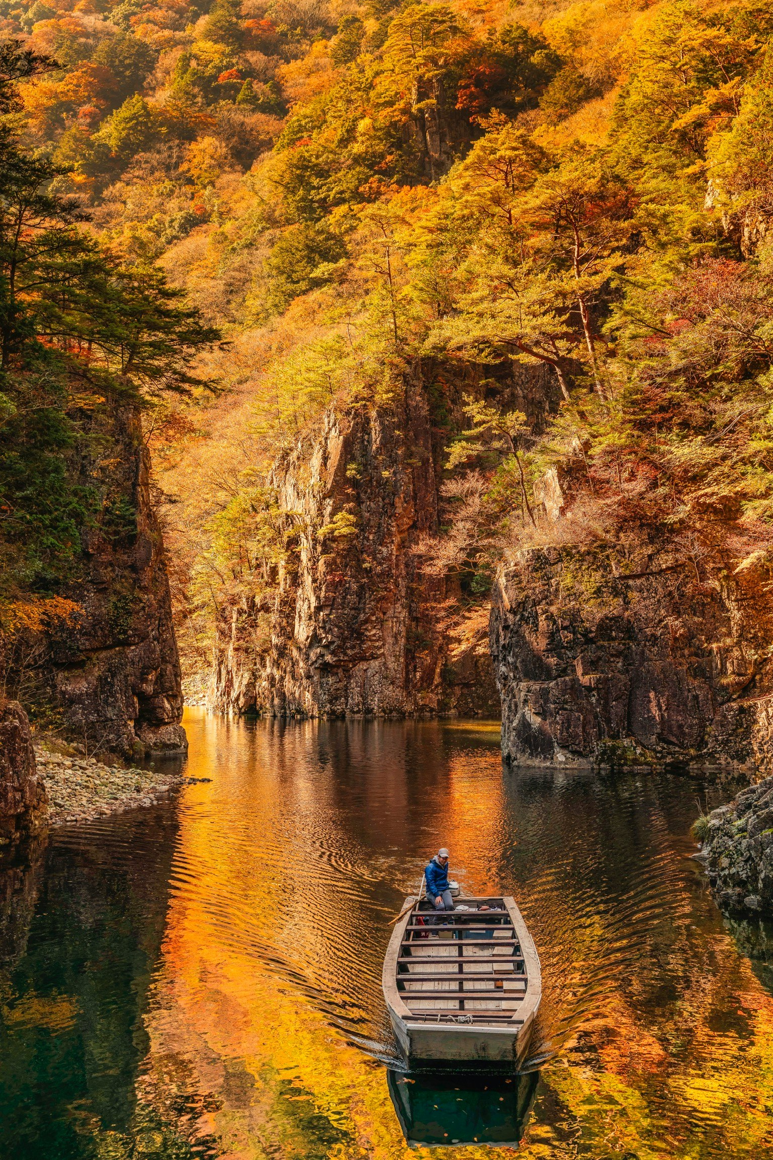 紅葉の渓谷を進む三段峡の渡し舟