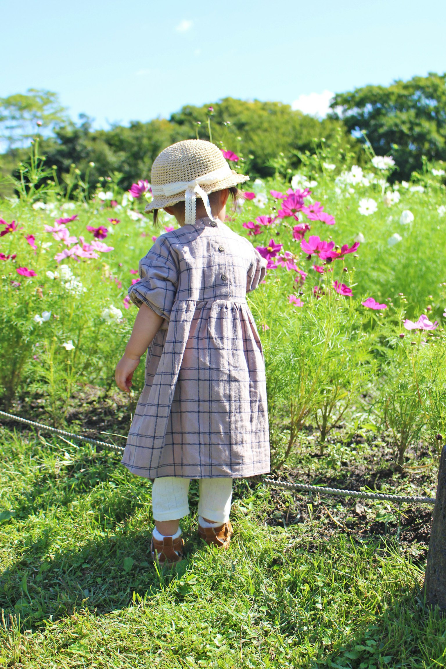 Child in a checkered dress and hat exploring a flower field
