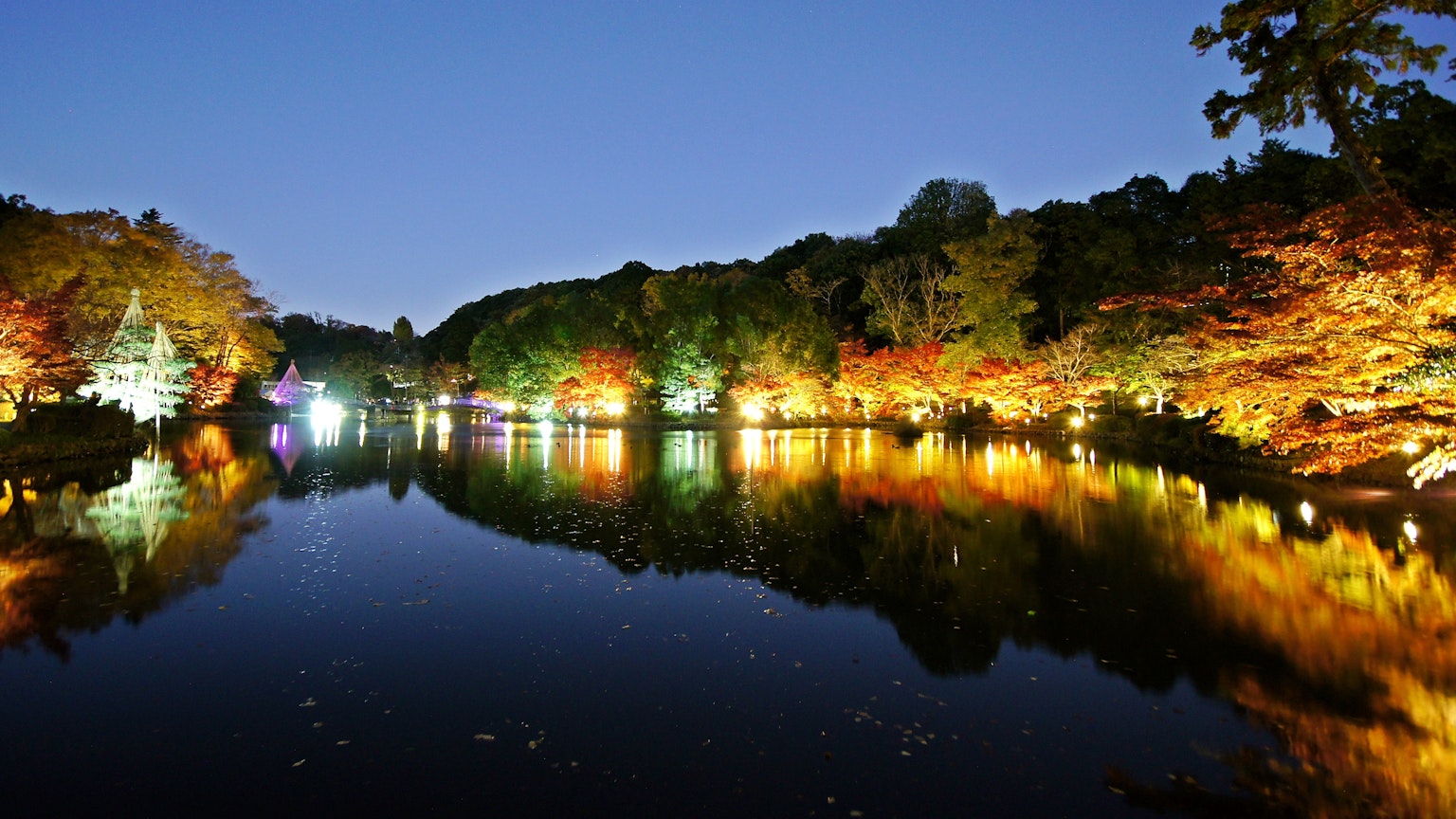 Vue nocturne sereine d'un étang entouré d'arbres illuminés se reflétant dans l'eau