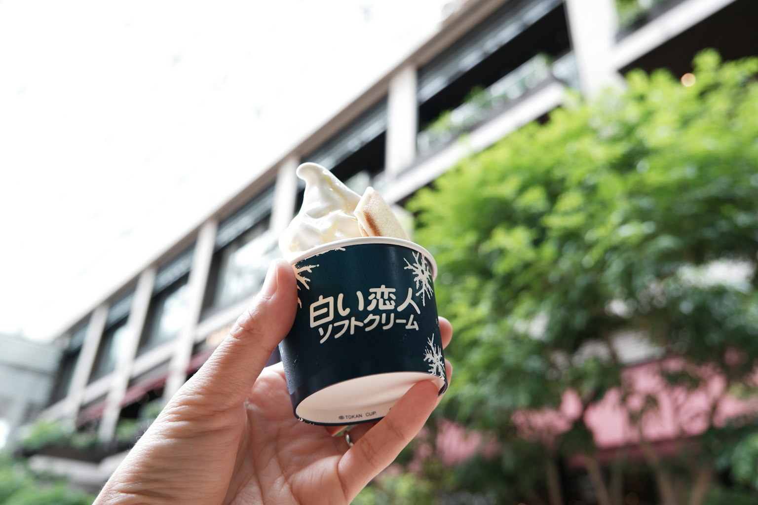 一隻手拿著白色軟冰淇淋杯子，背景是建築物