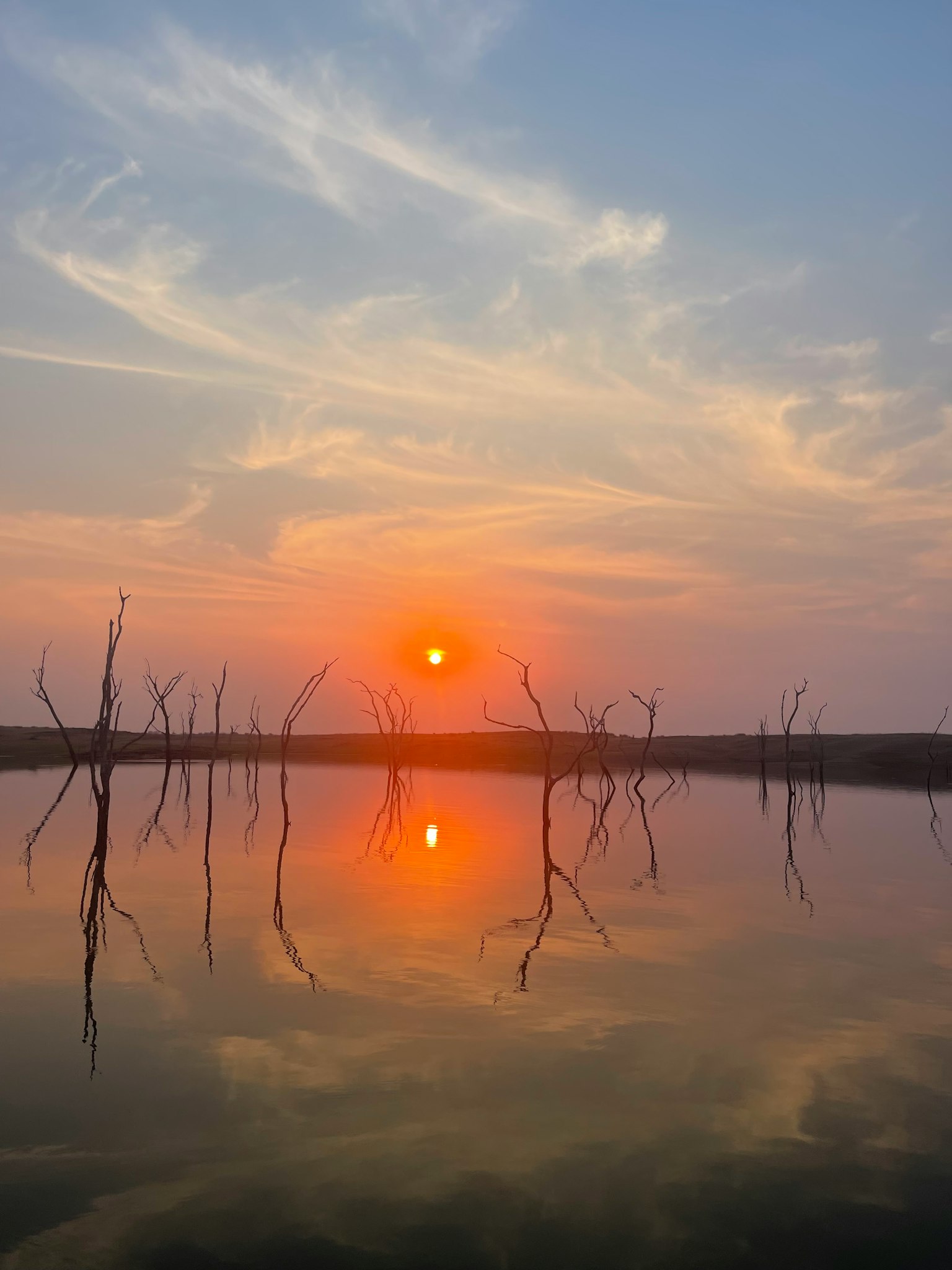 Lac calme reflétant le coucher de soleil et les silhouettes d'arbres morts
