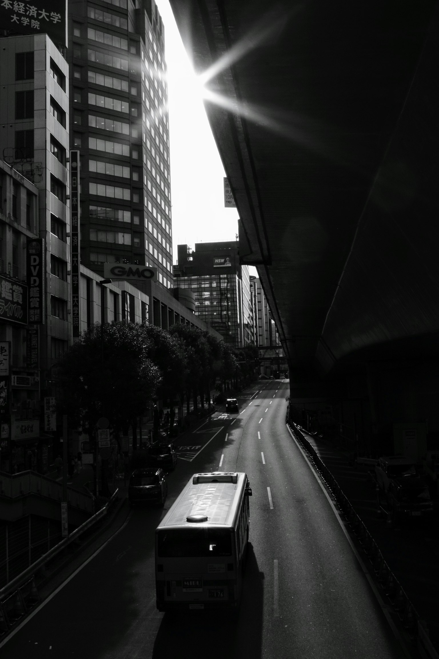 ภาพขาวดำของรถบัสบนถนนระหว่างตึกสูงที่มีแสงแดด