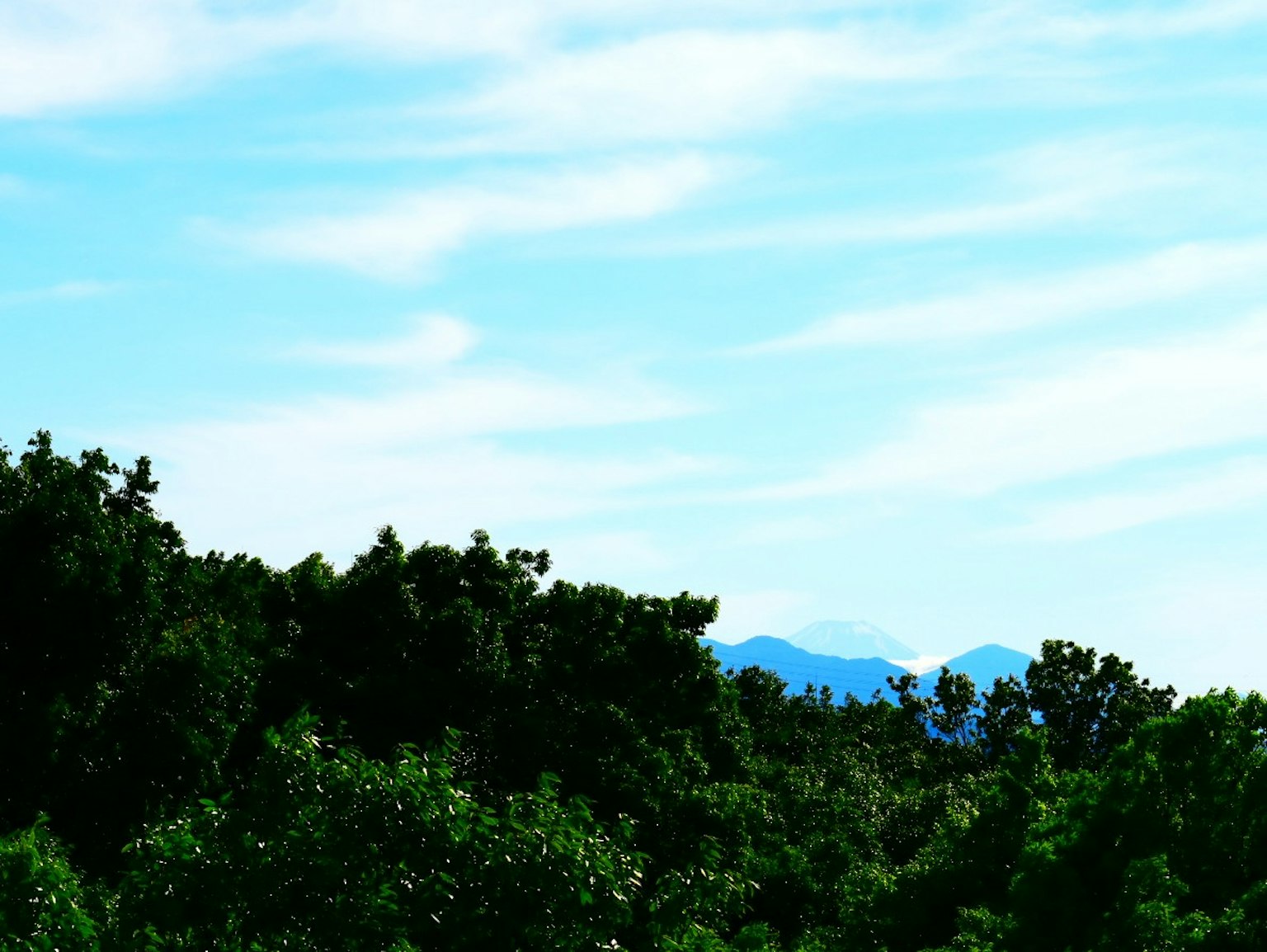 Pohon hijau di bawah langit biru dengan awan dan gunung jauh