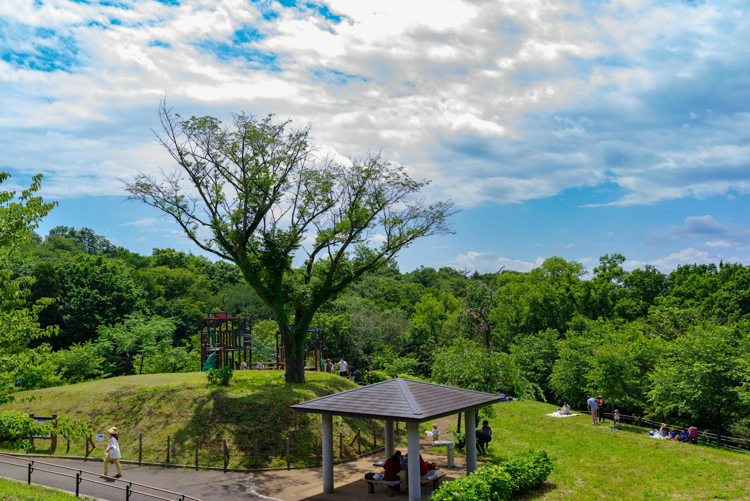 A scenic park view featuring a large tree and a pavilion