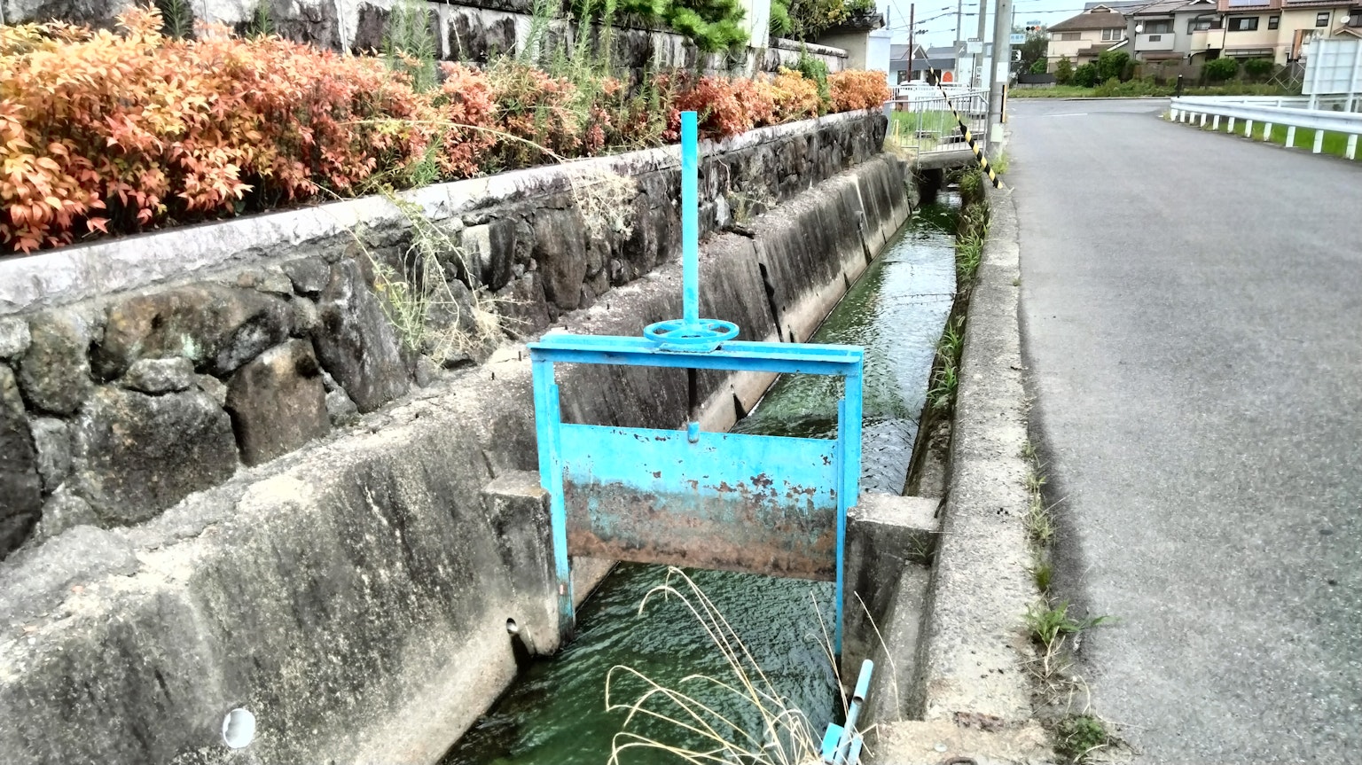 Vista di un canale di drenaggio con una chiusa blu circondata da muri di pietra e piante