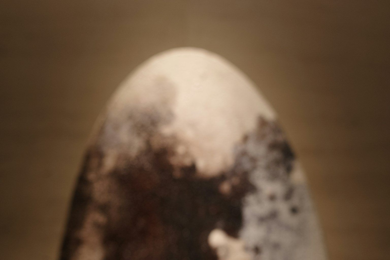 特寫鏡頭，展示了表面具有獨特圖案和顏色變化的蛋