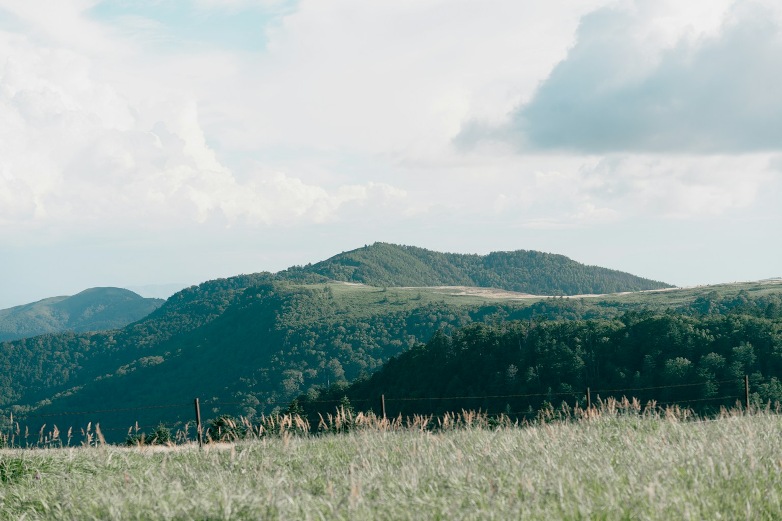 Vista panoramica di colline verdi sotto un cielo blu