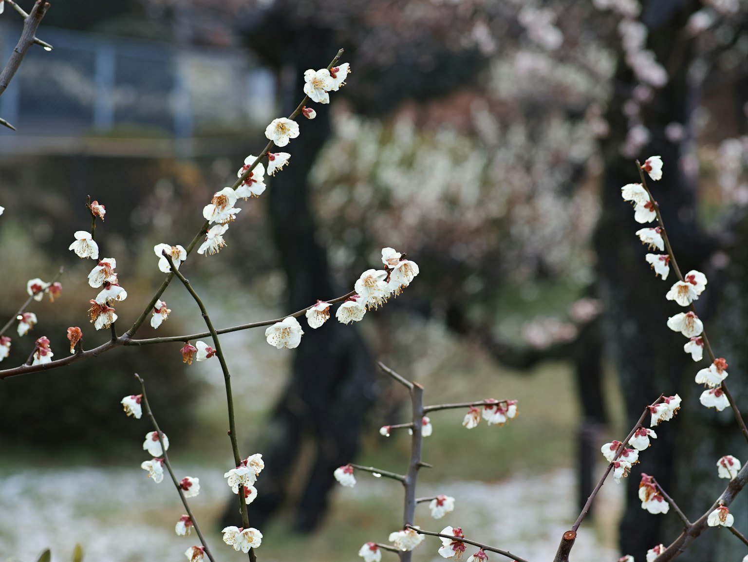 photo-qKhqUs3zBxJzGuIlQYuq-image
