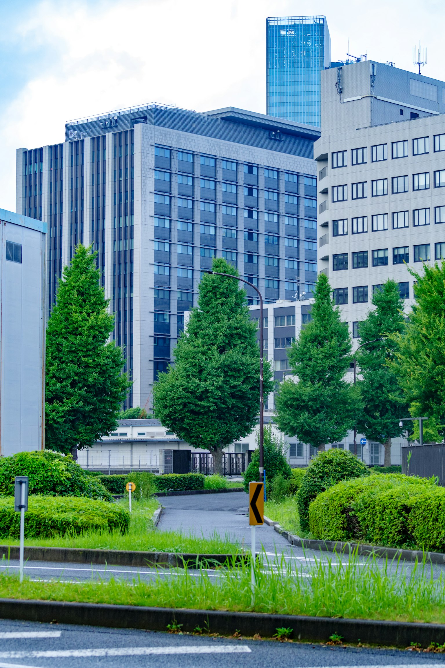Urban landscape surrounded by green trees featuring high-rise buildings in Japan