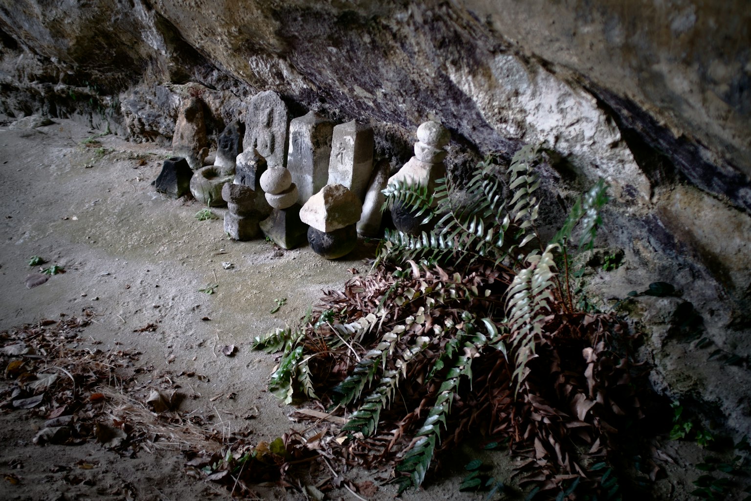 Sculptures en pierre alignées dans une grotte avec des fougères