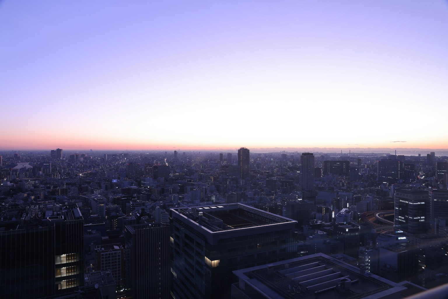 黄昏时城市的全景，高楼大厦和明亮的天空