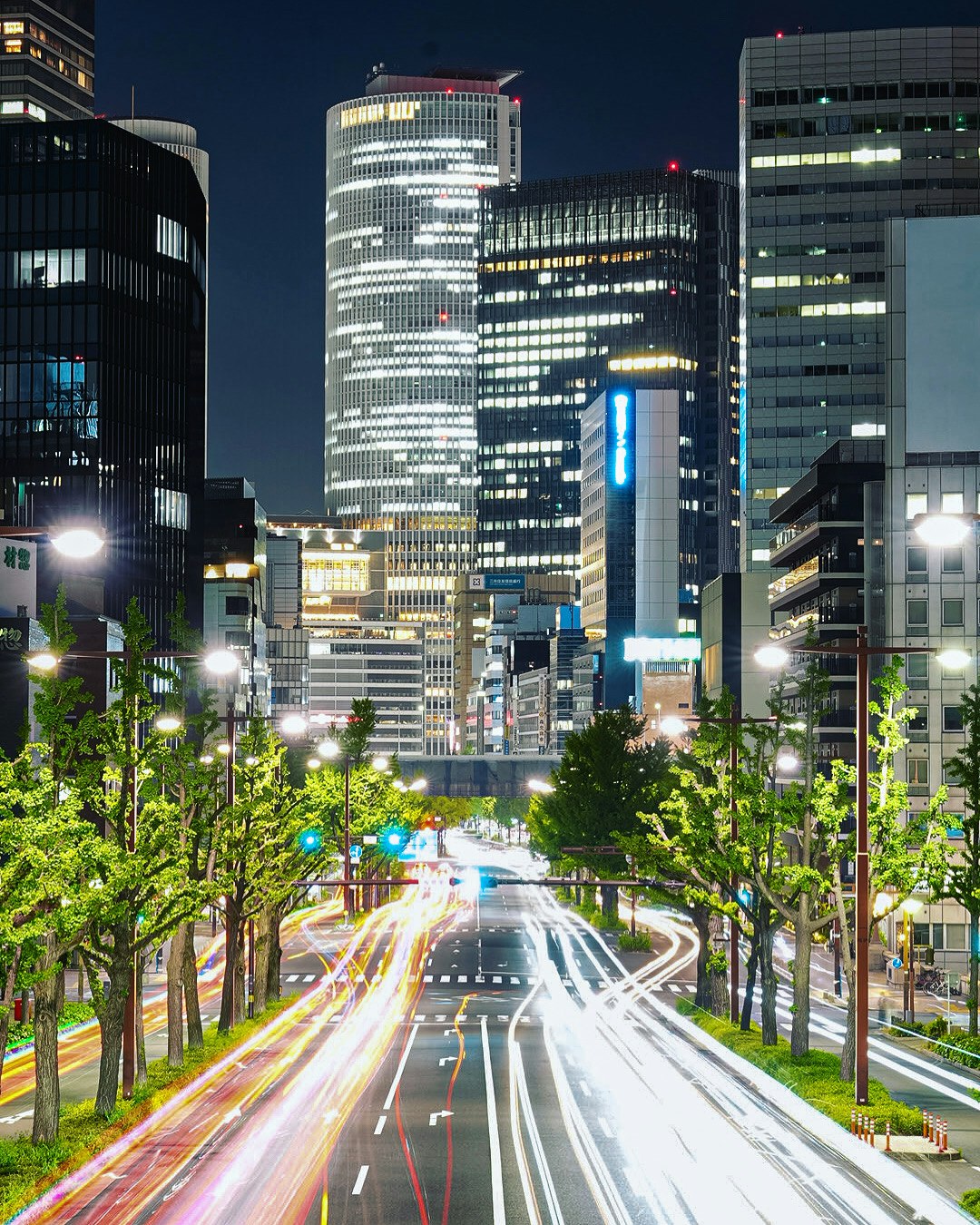 街路樹の並ぶ都心の夜景と高速道路の光跡