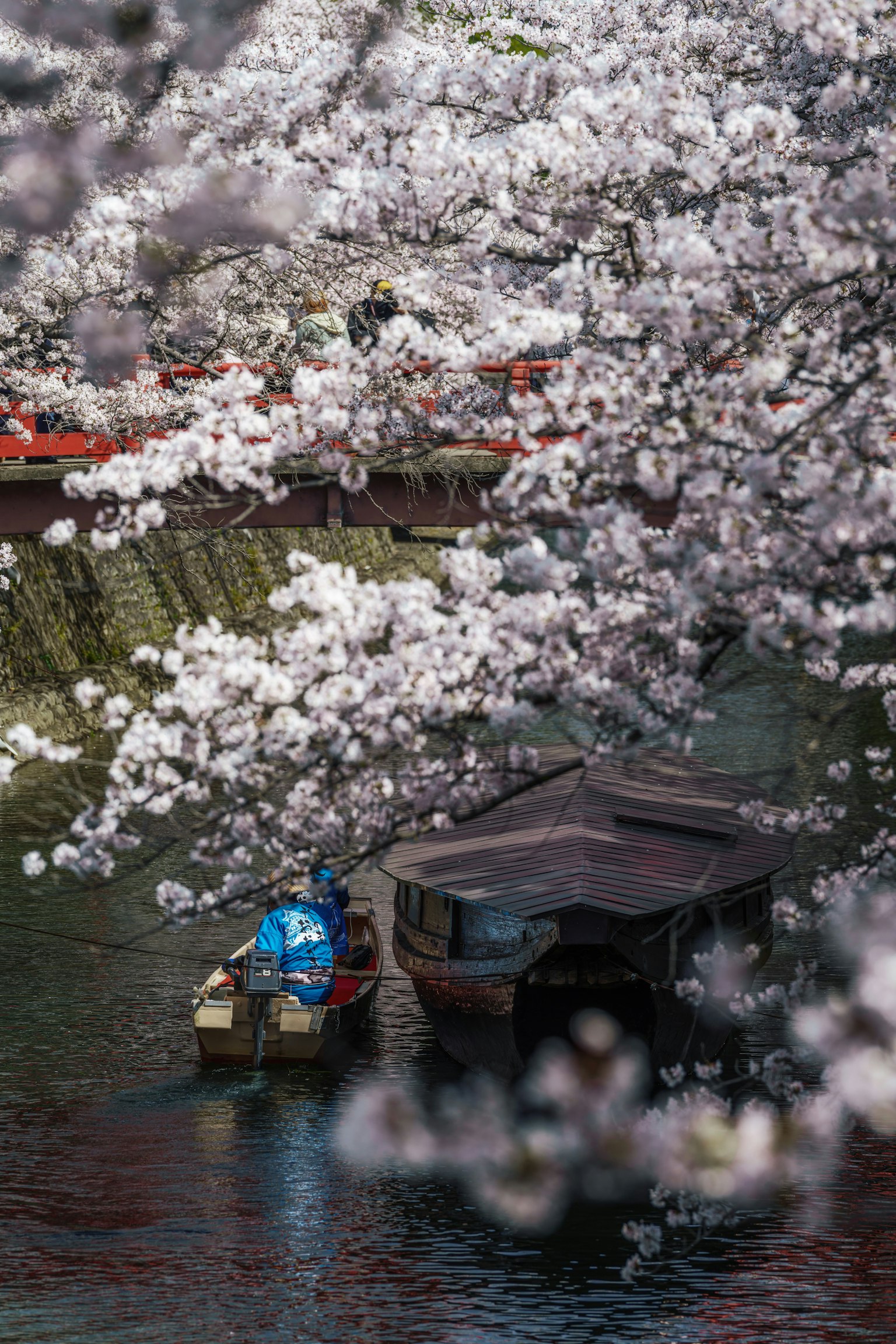 Un petit bateau flottant sur une rivière entourée de cerisiers en fleurs