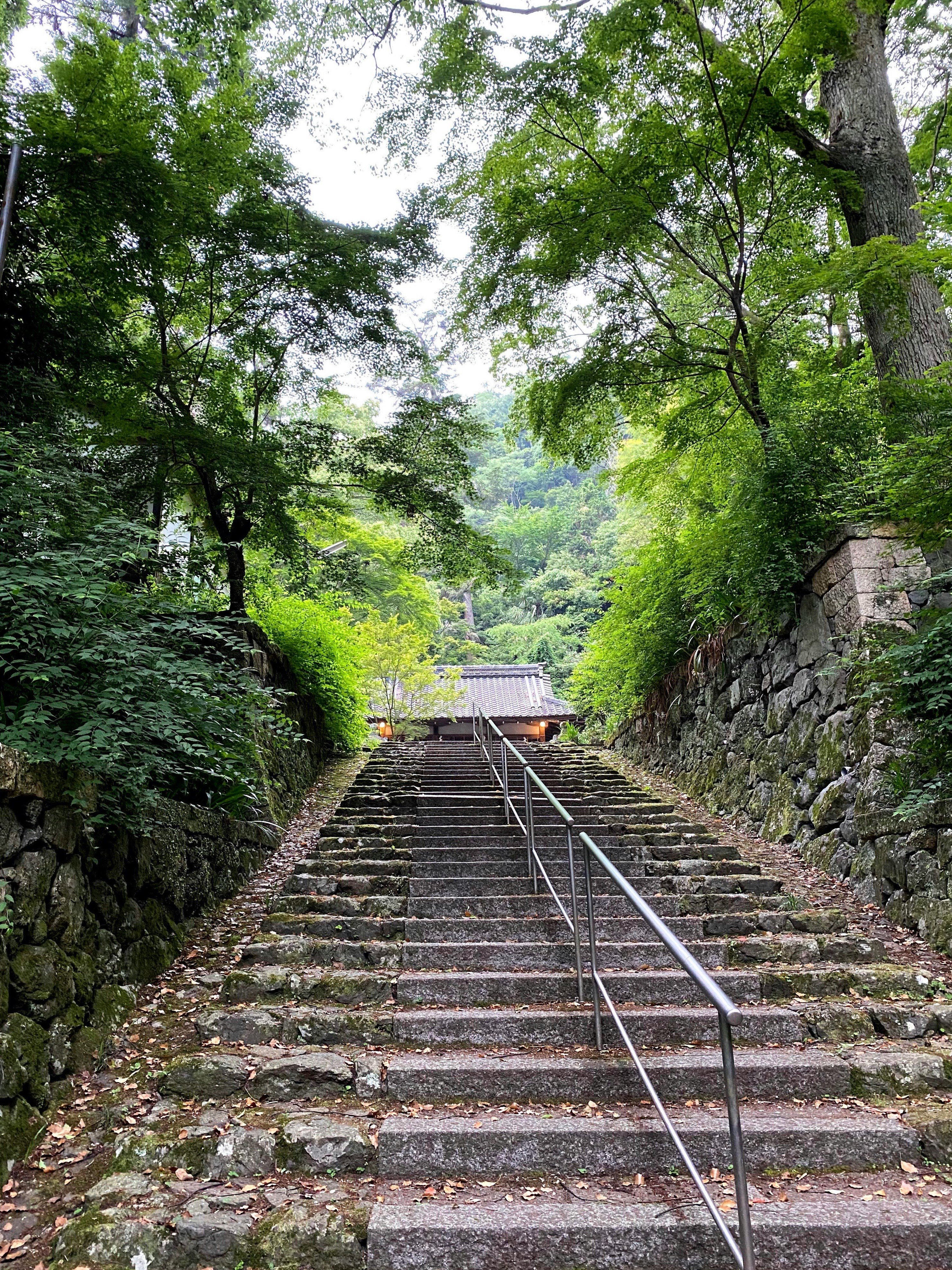 緑に囲まれた石段の登り道