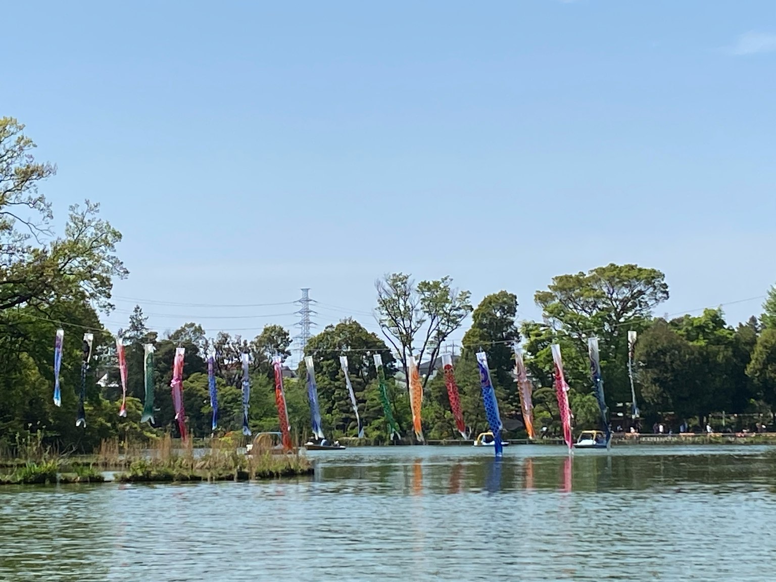 湖边彩色旗帜行列周围是绿色树木和蓝天