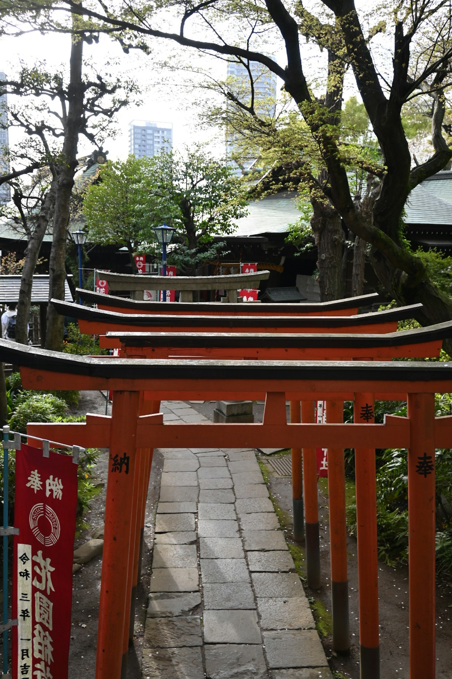Jalan yang dikelilingi oleh gerbang torii merah dan pohon hijau