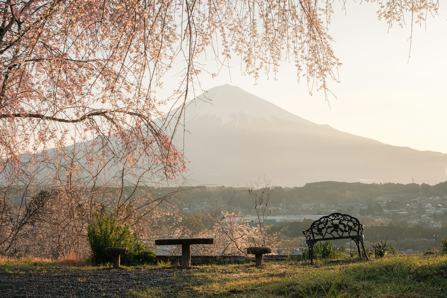 Vista panoramica di ciliegi in fiore e una panchina con il Monte Fuji sullo sfondo