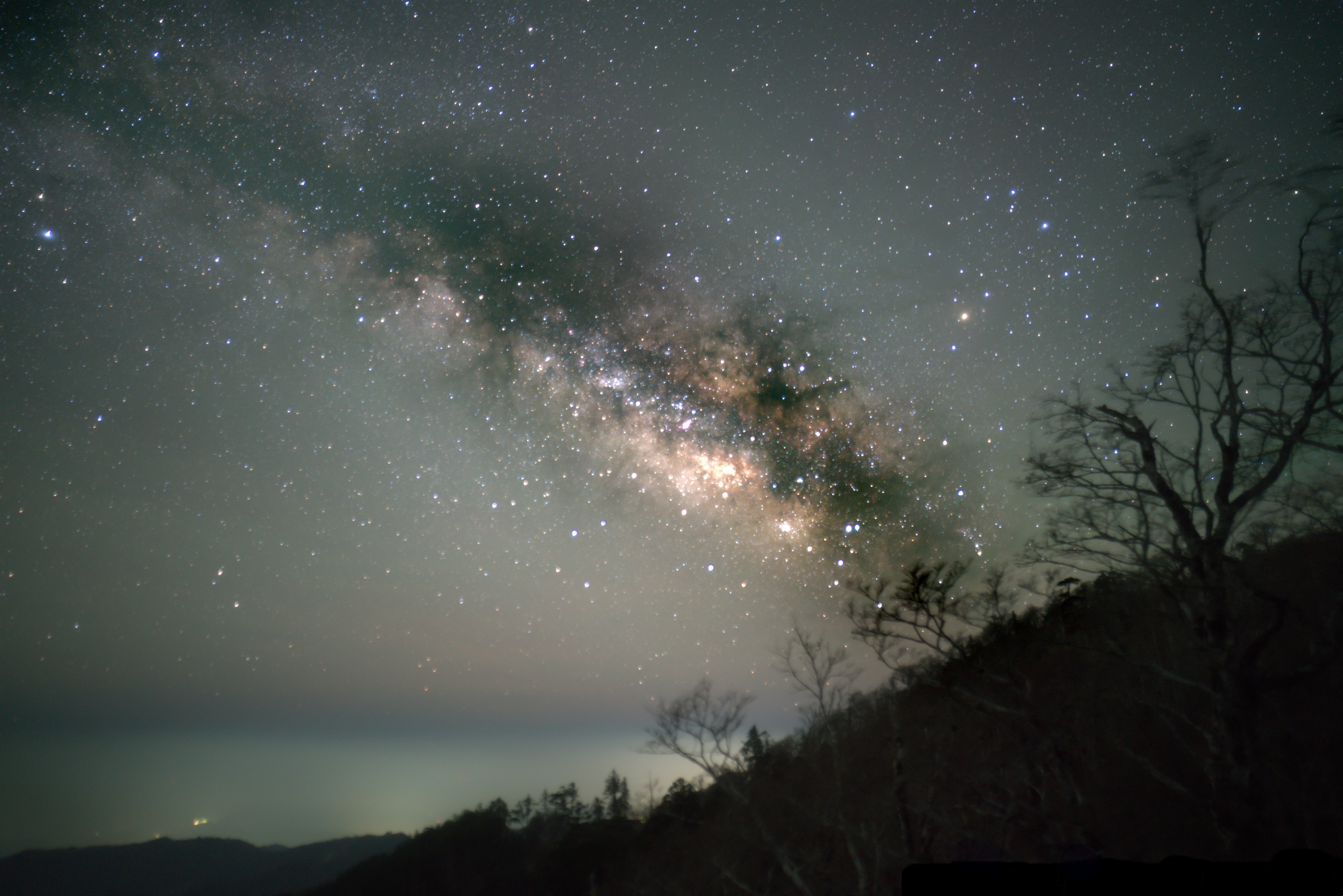 大台ヶ原の夜空に広がる天の川と星