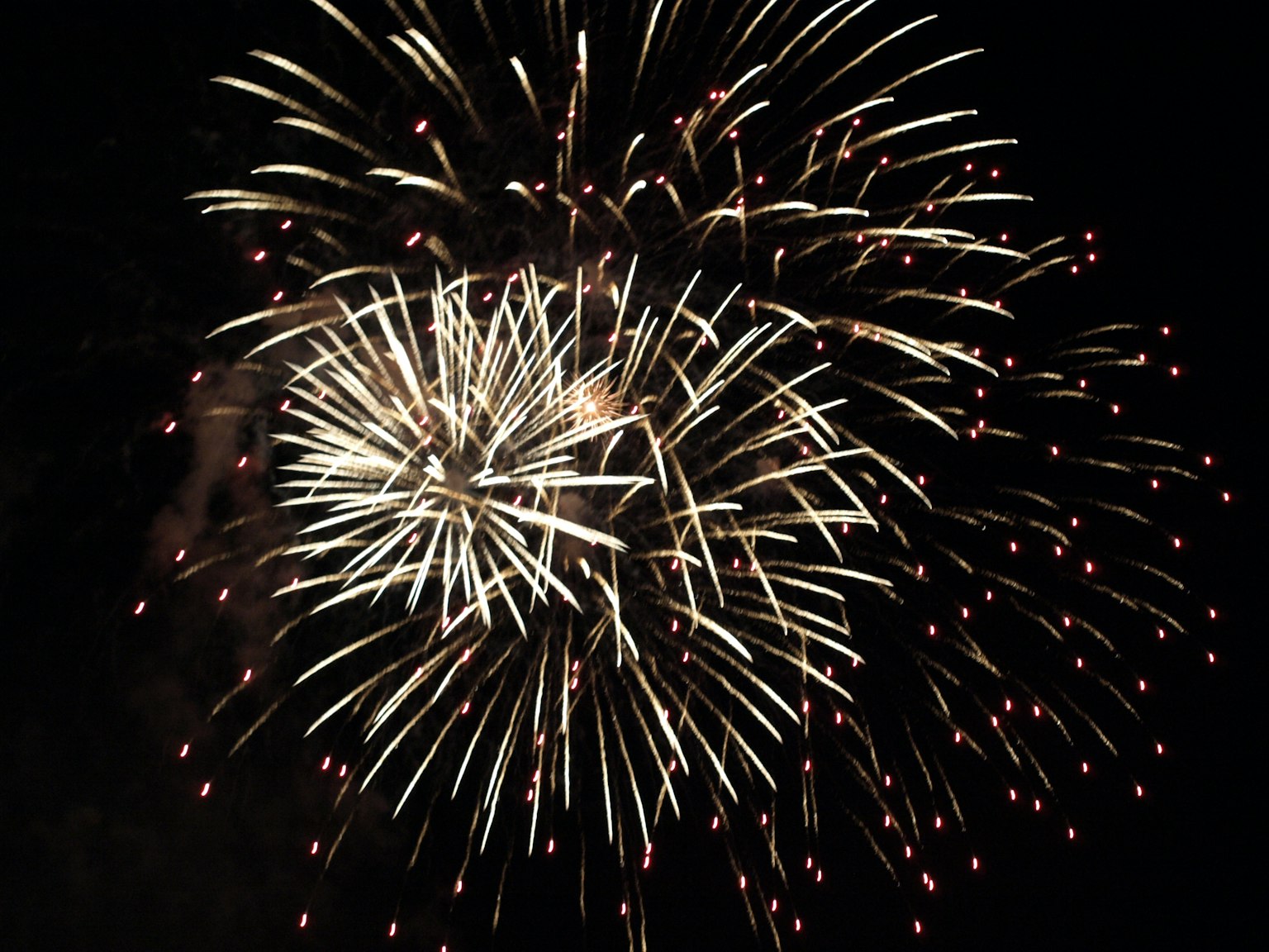 Un'esplosione di fuochi d'artificio che illumina il cielo notturno