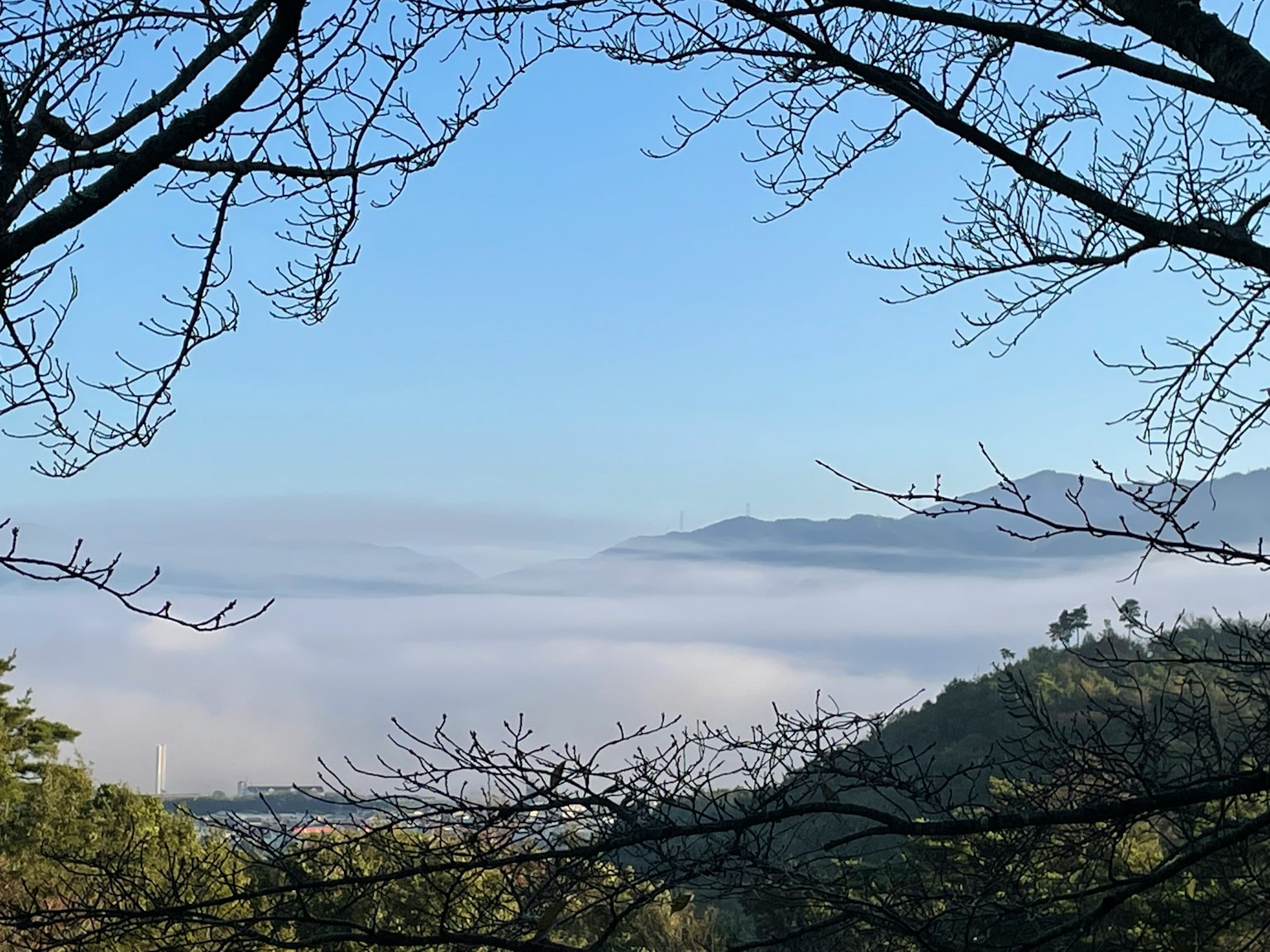 Vue panoramique de montagnes enveloppées de brume sous un ciel bleu clair avec des silhouettes d'arbres