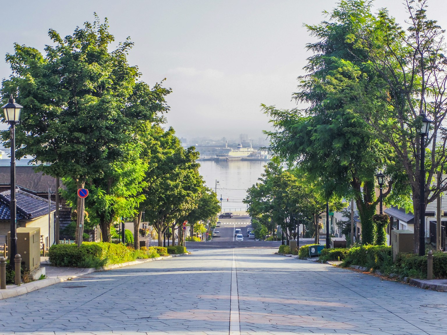 Scenic view of a quiet street lined with green trees and a misty waterfront