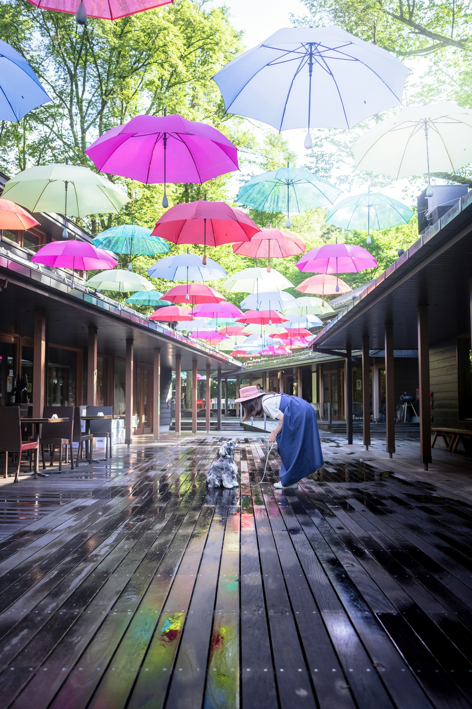 Des parapluies colorés suspendus dans un espace extérieur Ombres réfléchies sur un sol en bois