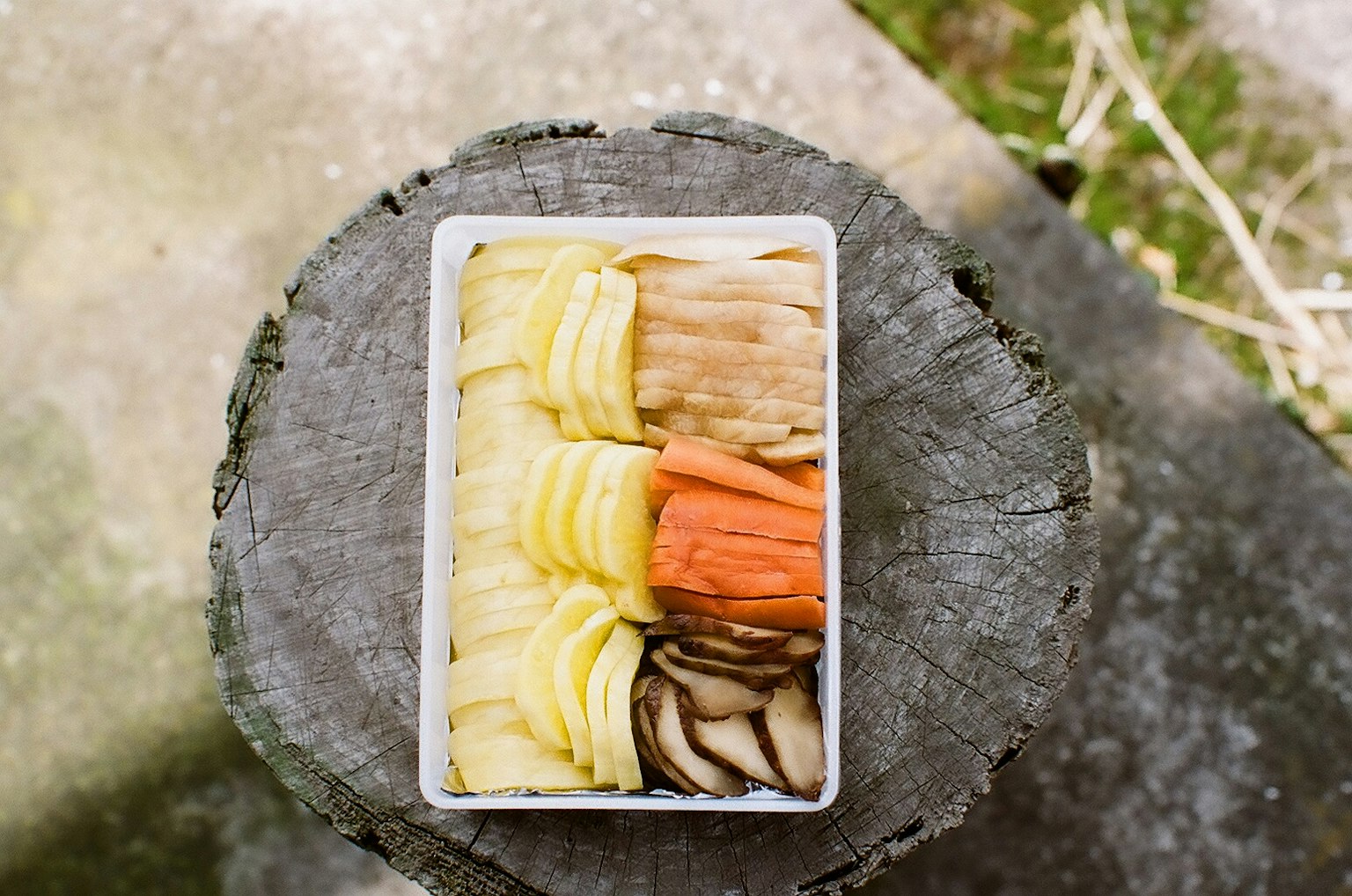 Assortimento colorato di frutta affettata disposto in un contenitore bianco