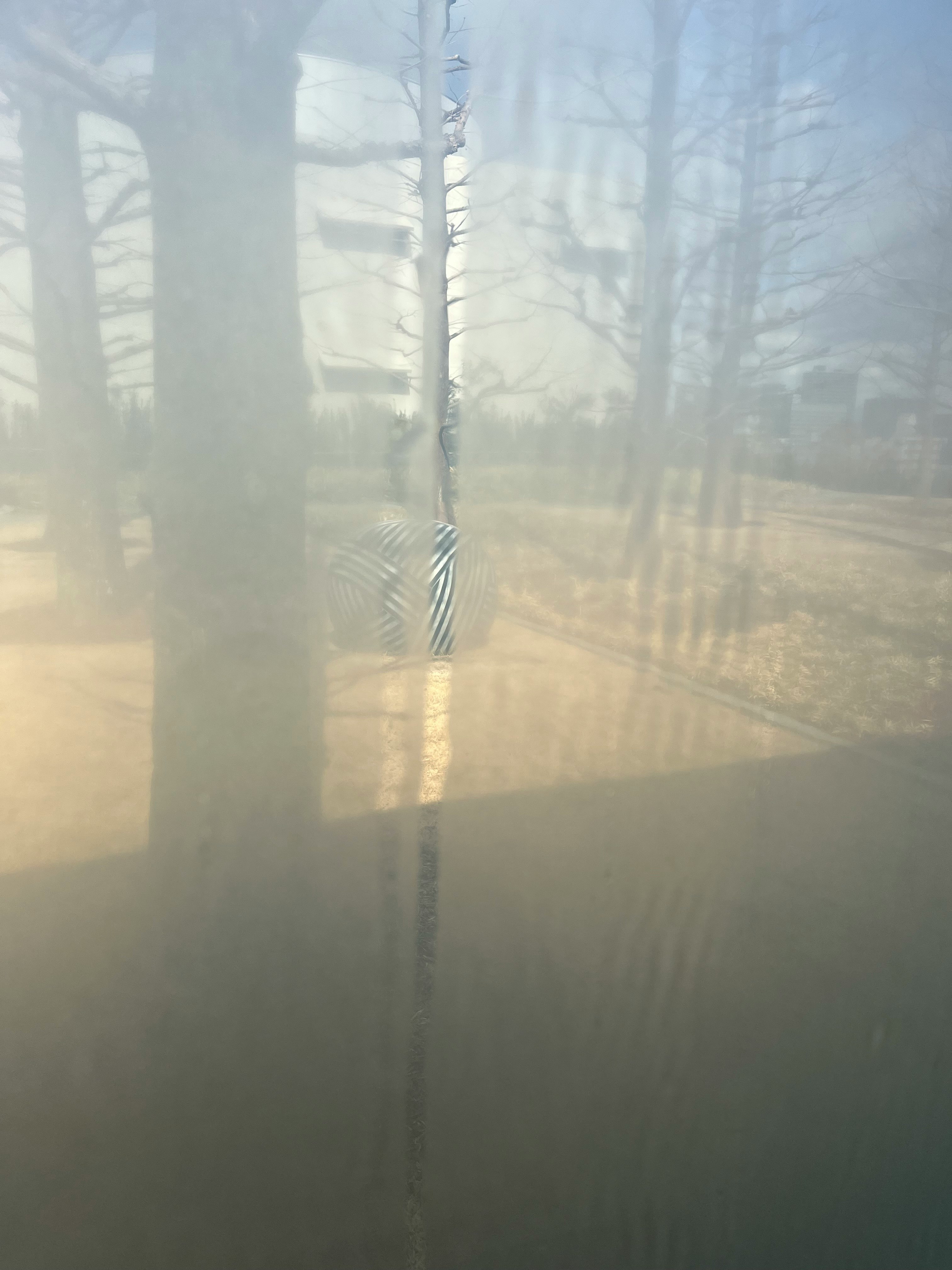 霧の森の木々と光の差し込む小道