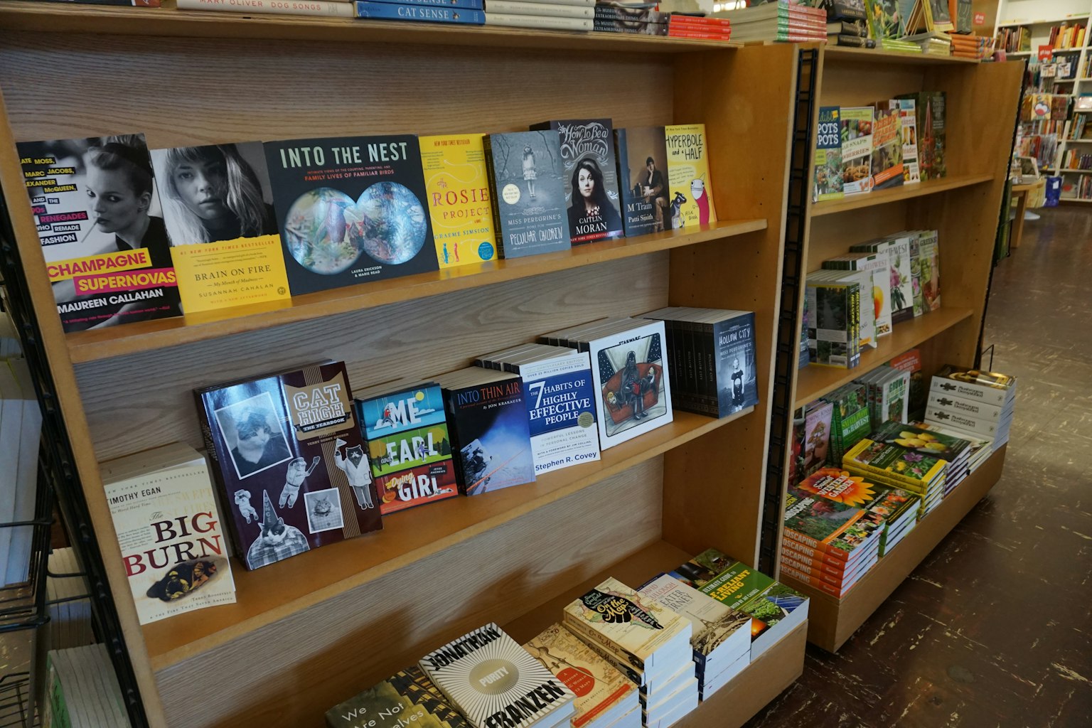 Libri esposti su scaffali in una libreria con vari titoli e generi
