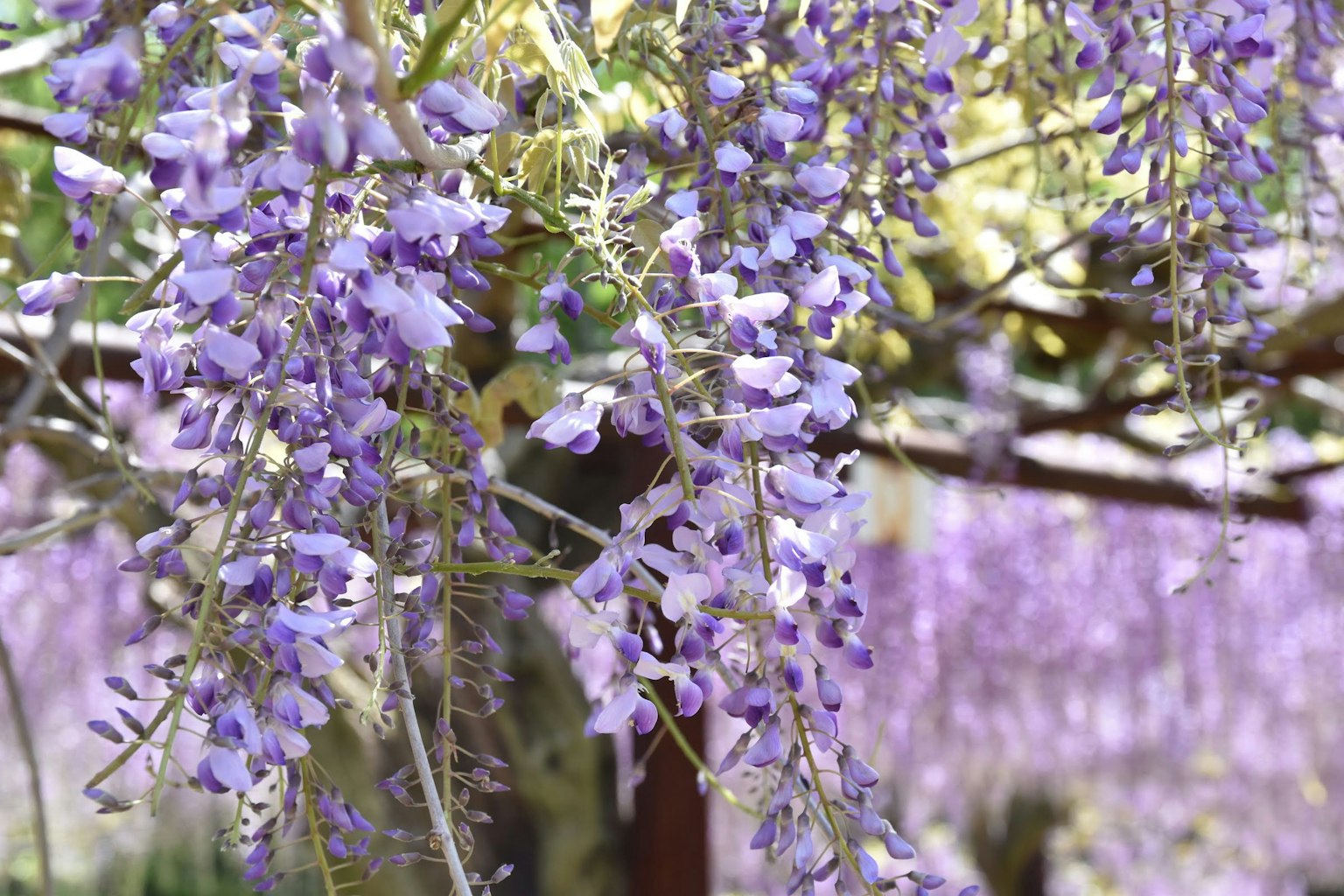 photo-qSIxIY7B2ADo9mYFZPOm-image