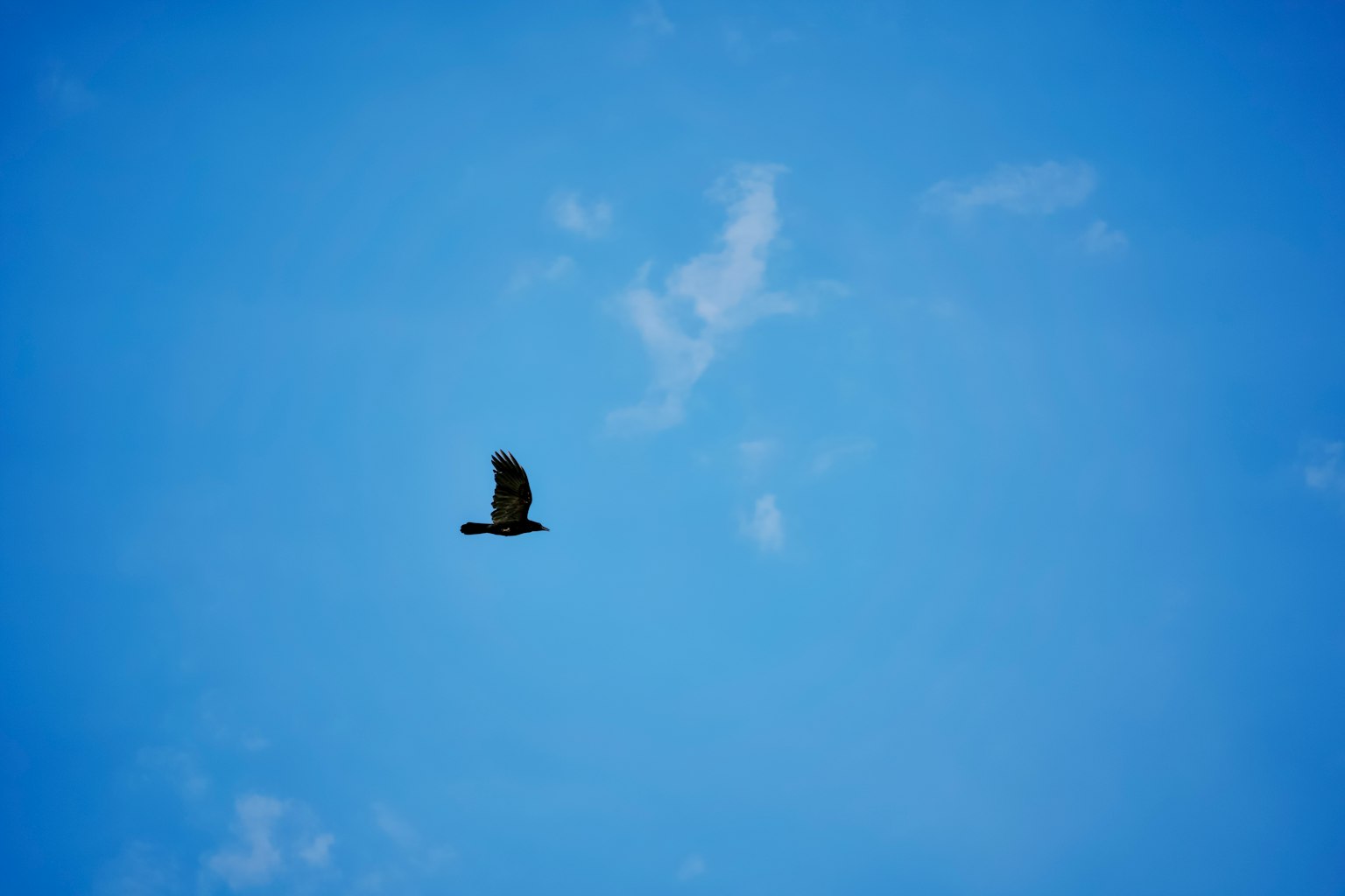 photo-qT23Eu2PM6bI3aGy5UiY-image