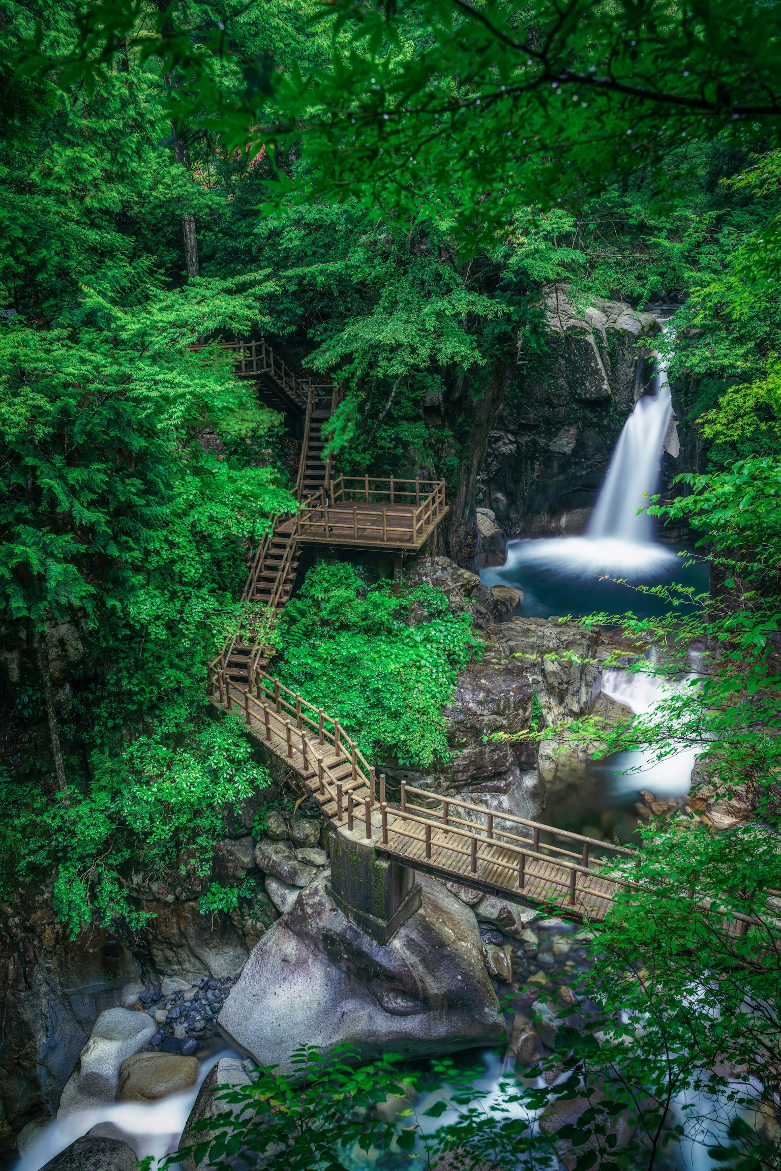 Sentier en bois serpentant à travers une forêt verdoyante avec une cascade
