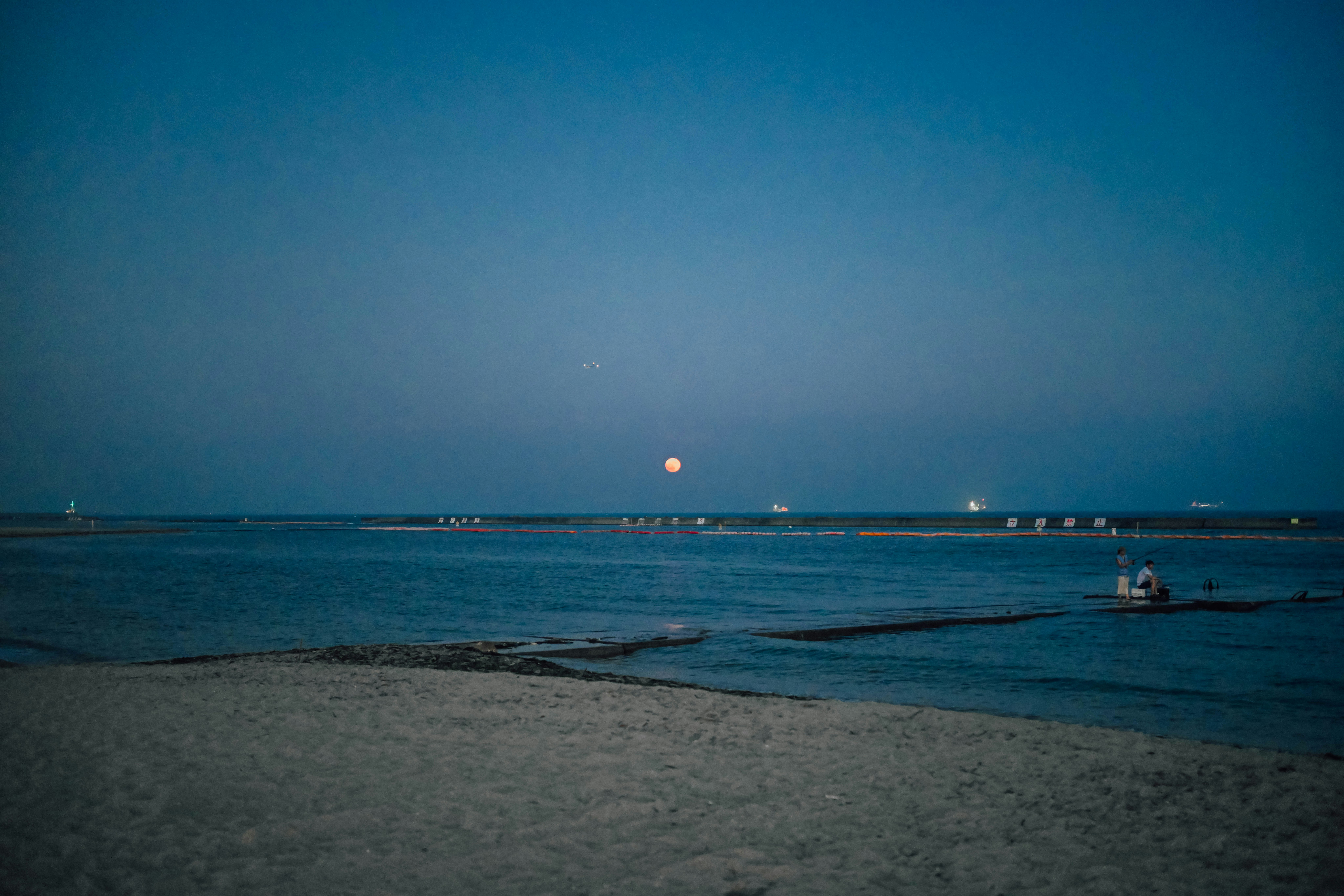 夕暮れの海辺で遠くに灯る街の光と砂浜