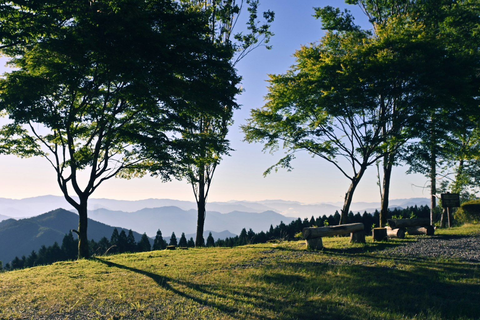 Vue panoramique d'arbres luxuriants et de montagnes dans un parc