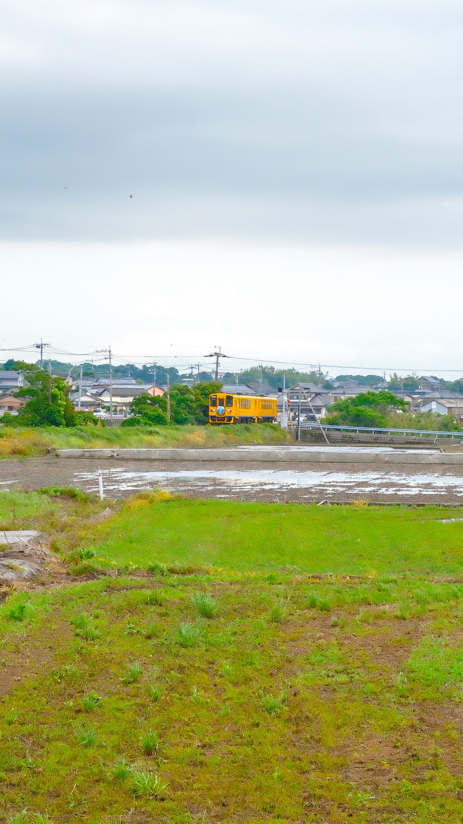 구름 낀 하늘 아래 녹색 논 풍경과 멀리 있는 노란 건물