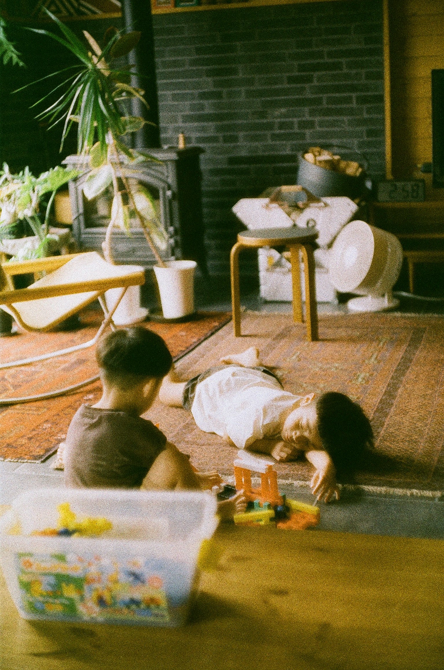 子供たちが遊んでいる室内の風景　カーペットの上でおもちゃで遊ぶ男の子と女の子　背景に植物と家具が見える