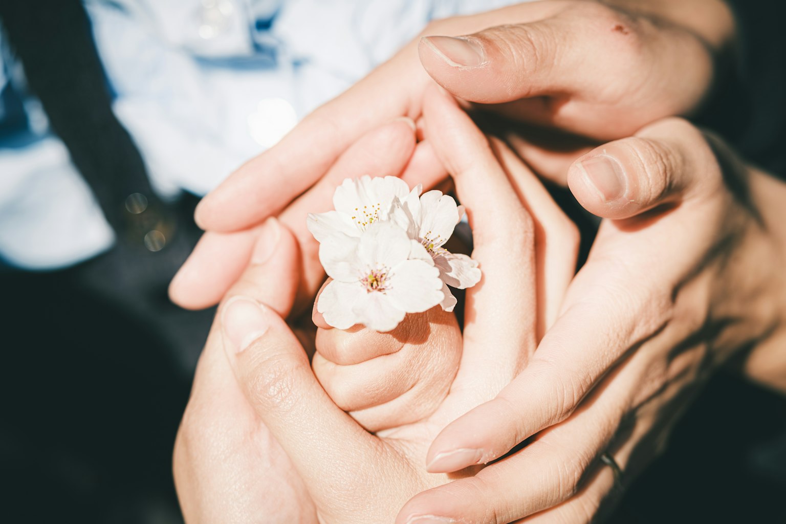 photo-qUj1dbcJTlwDyvhZrTM9-image