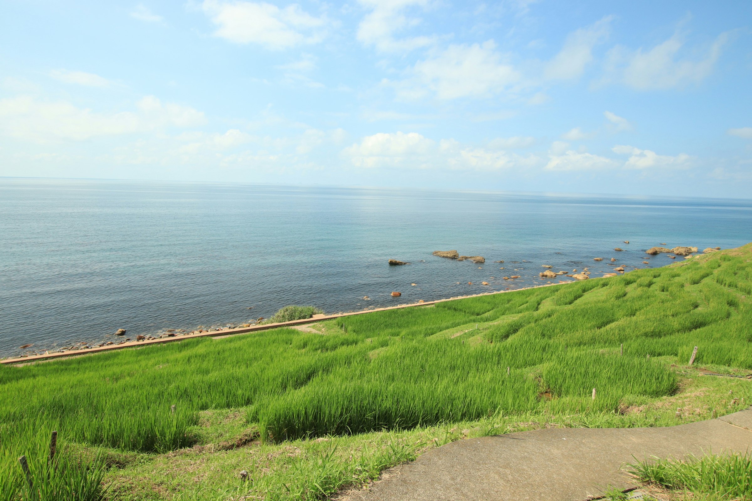 海を見下ろす緑の丘と小道