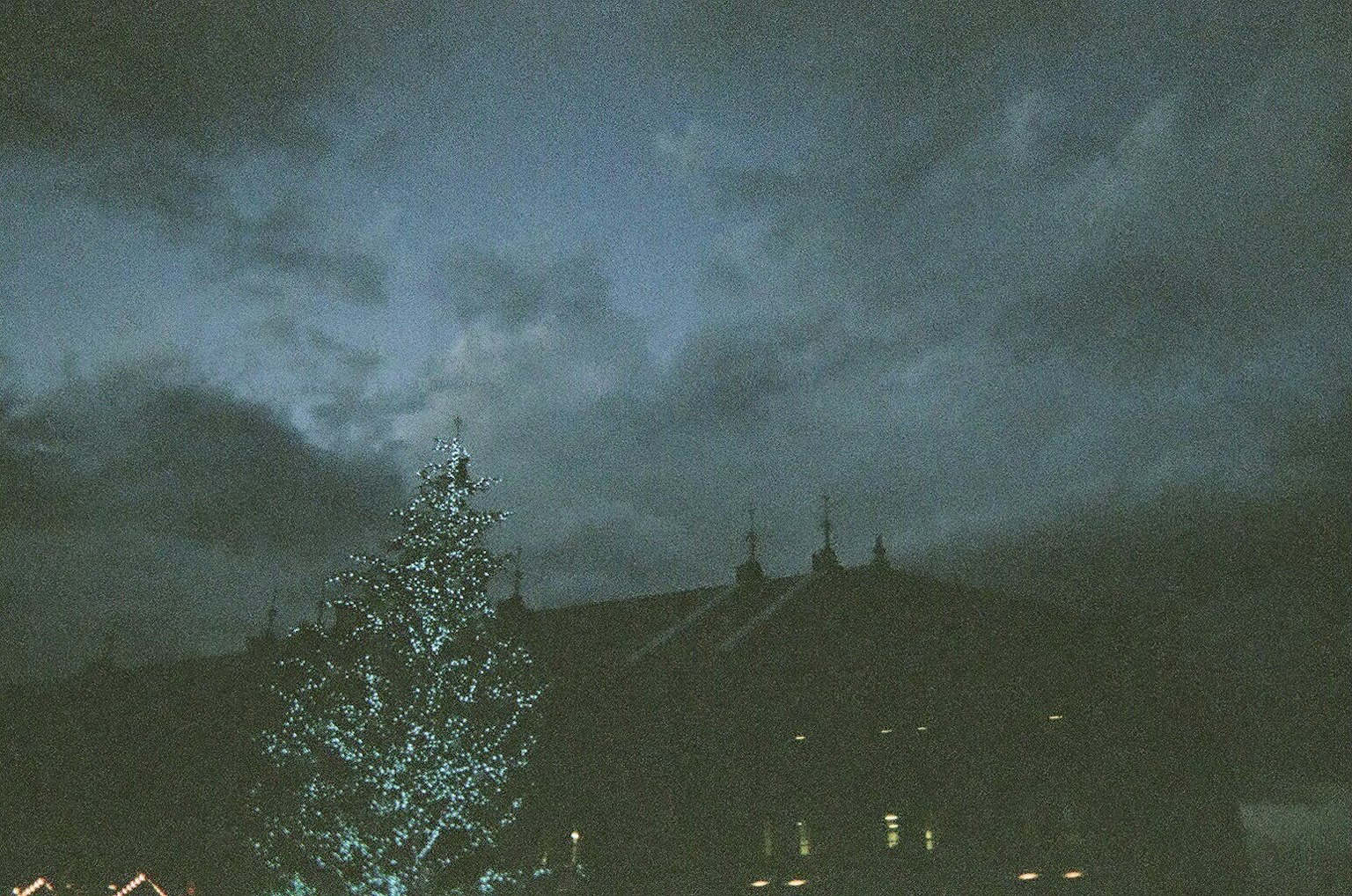 Beleuchteter Weihnachtsbaum silhouettiert gegen einen dunklen Himmel und Gebäude