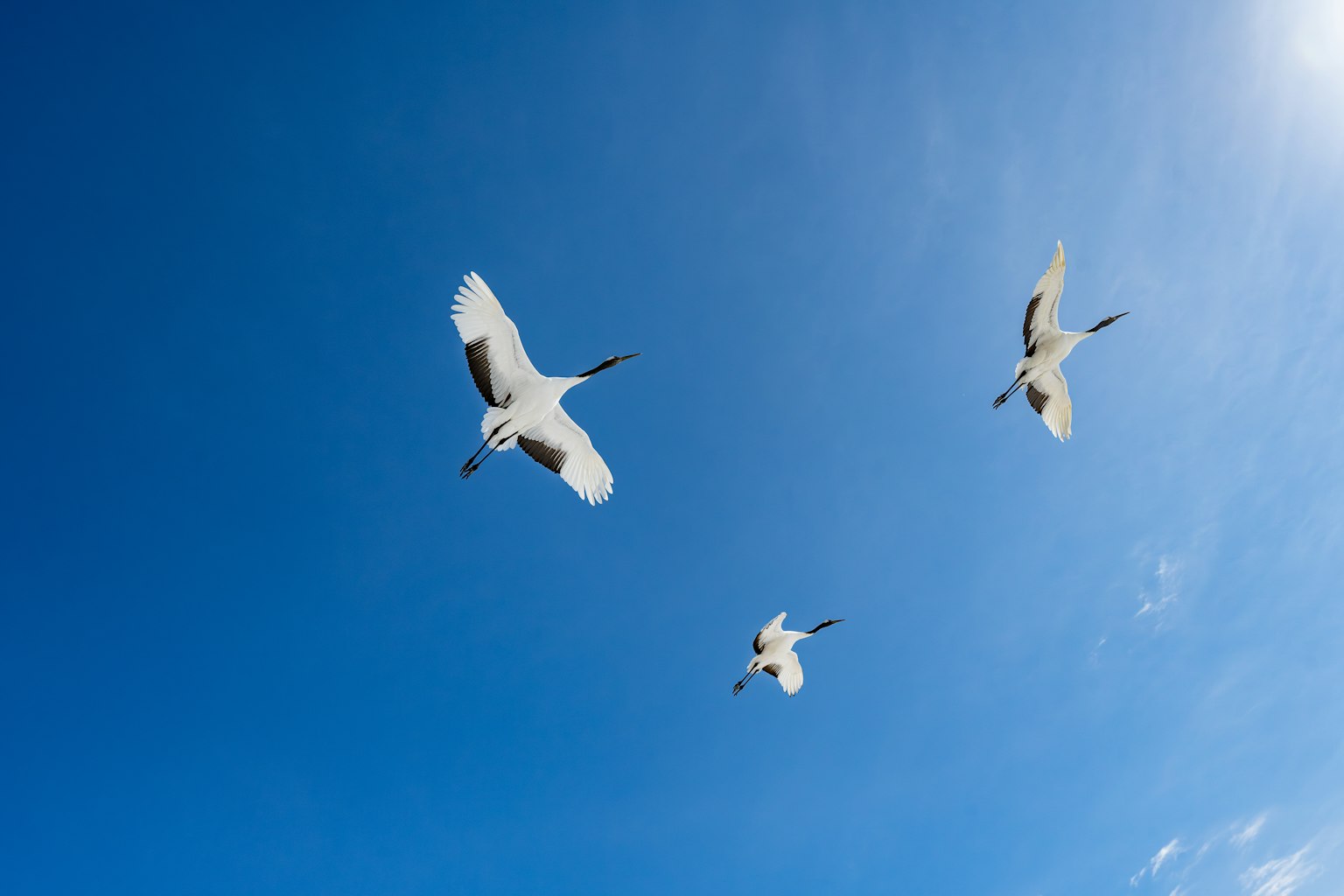 photo-qVeWZw6t8axvMxkQTrZC-image