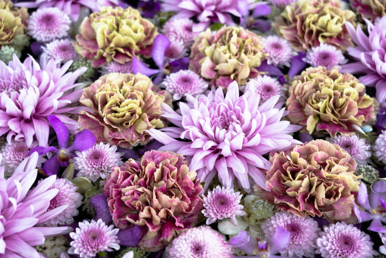 Schöne Anordnung von gemischten Blumen in lebhaften Farben