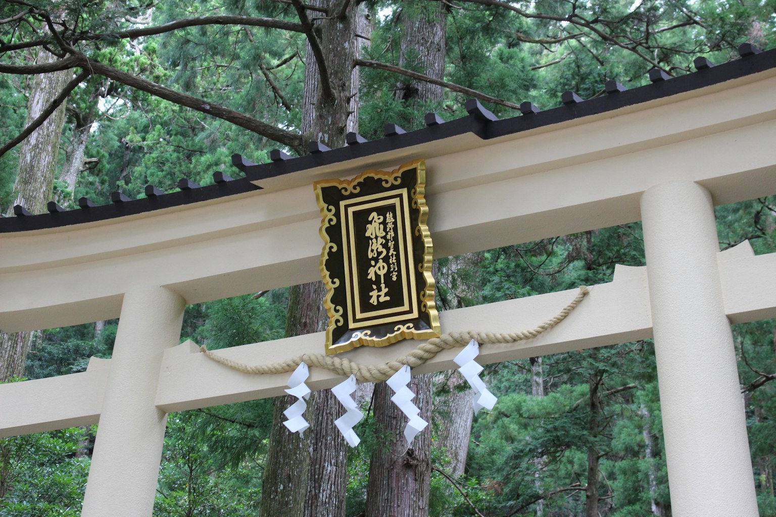 Puerta torii en un bosque con un letrero dorado