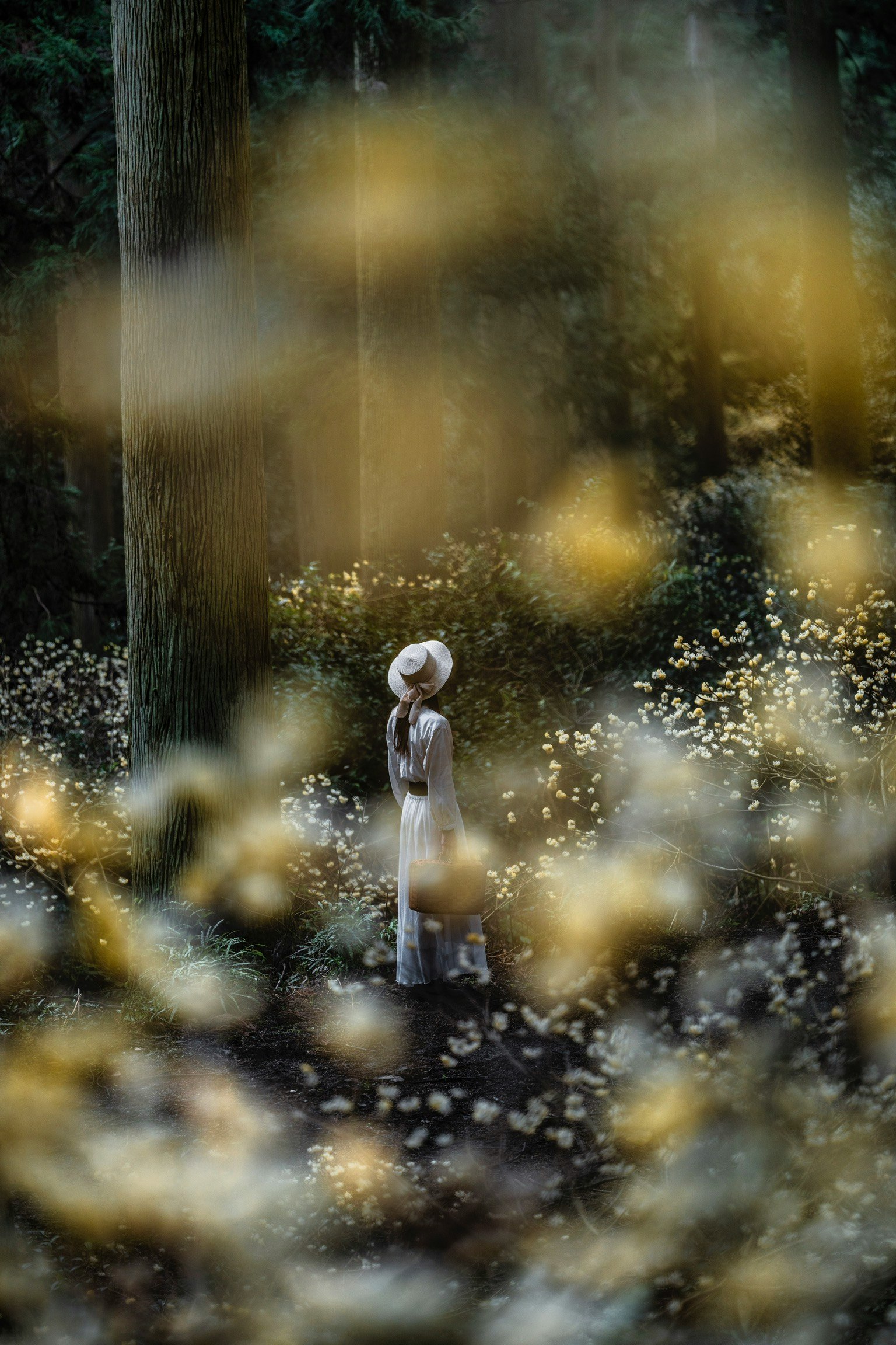 Une femme debout dans un champ de fleurs entourée d'arbres hauts et de fleurs jaunes floues