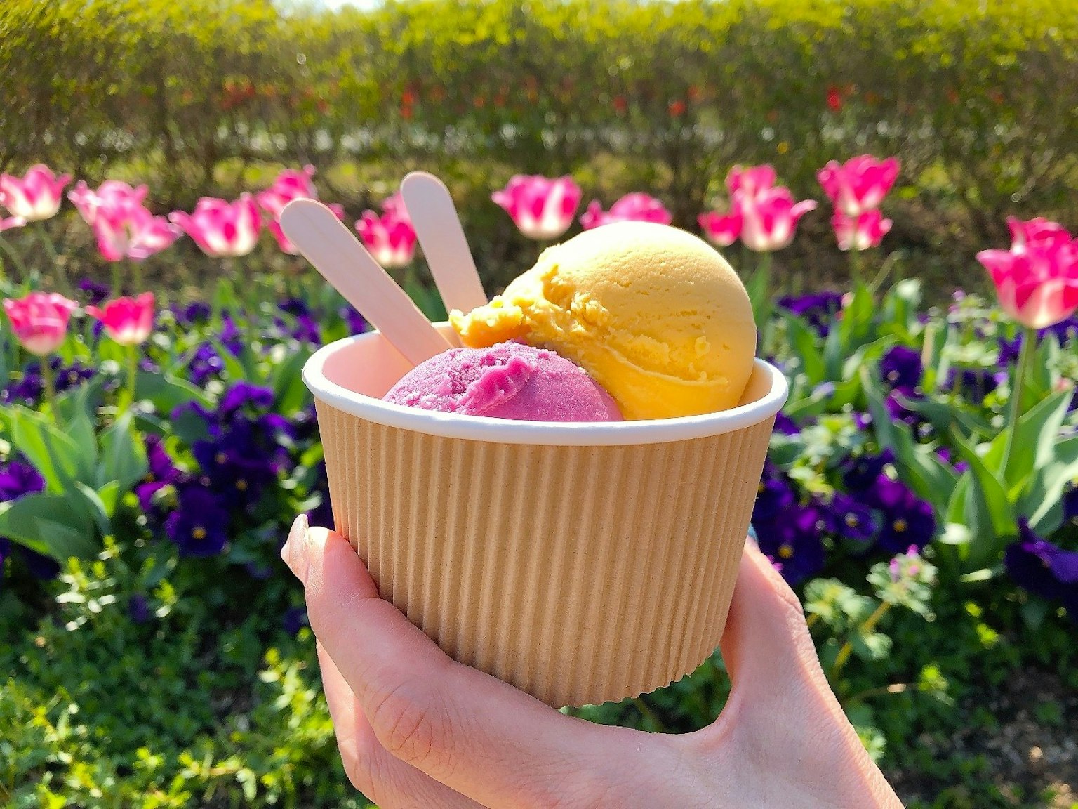 Mano che tiene un cono di gelato con gusti rosa e giallo davanti ai fiori
