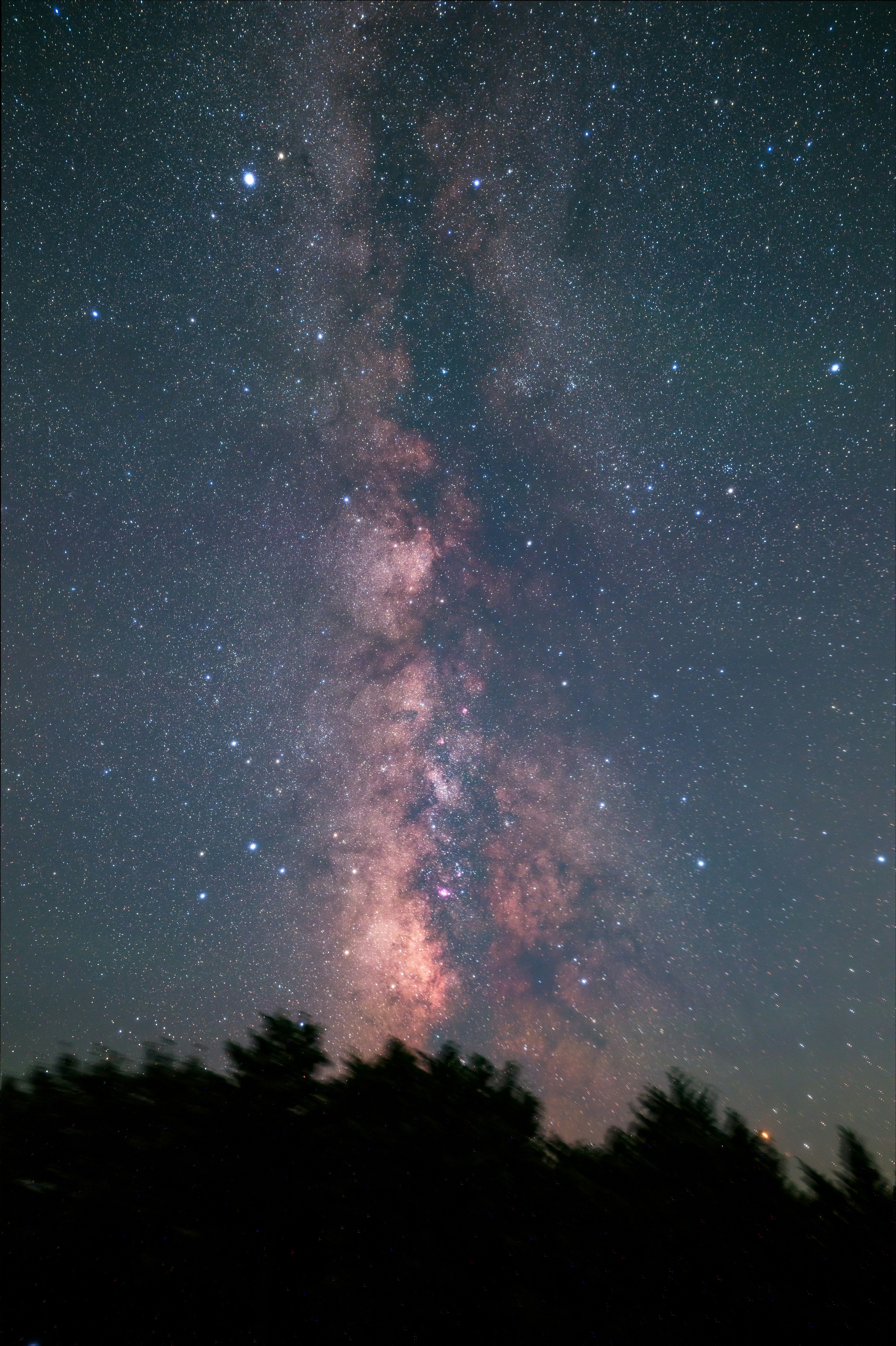 天の川が広がる夜空と森のシルエット