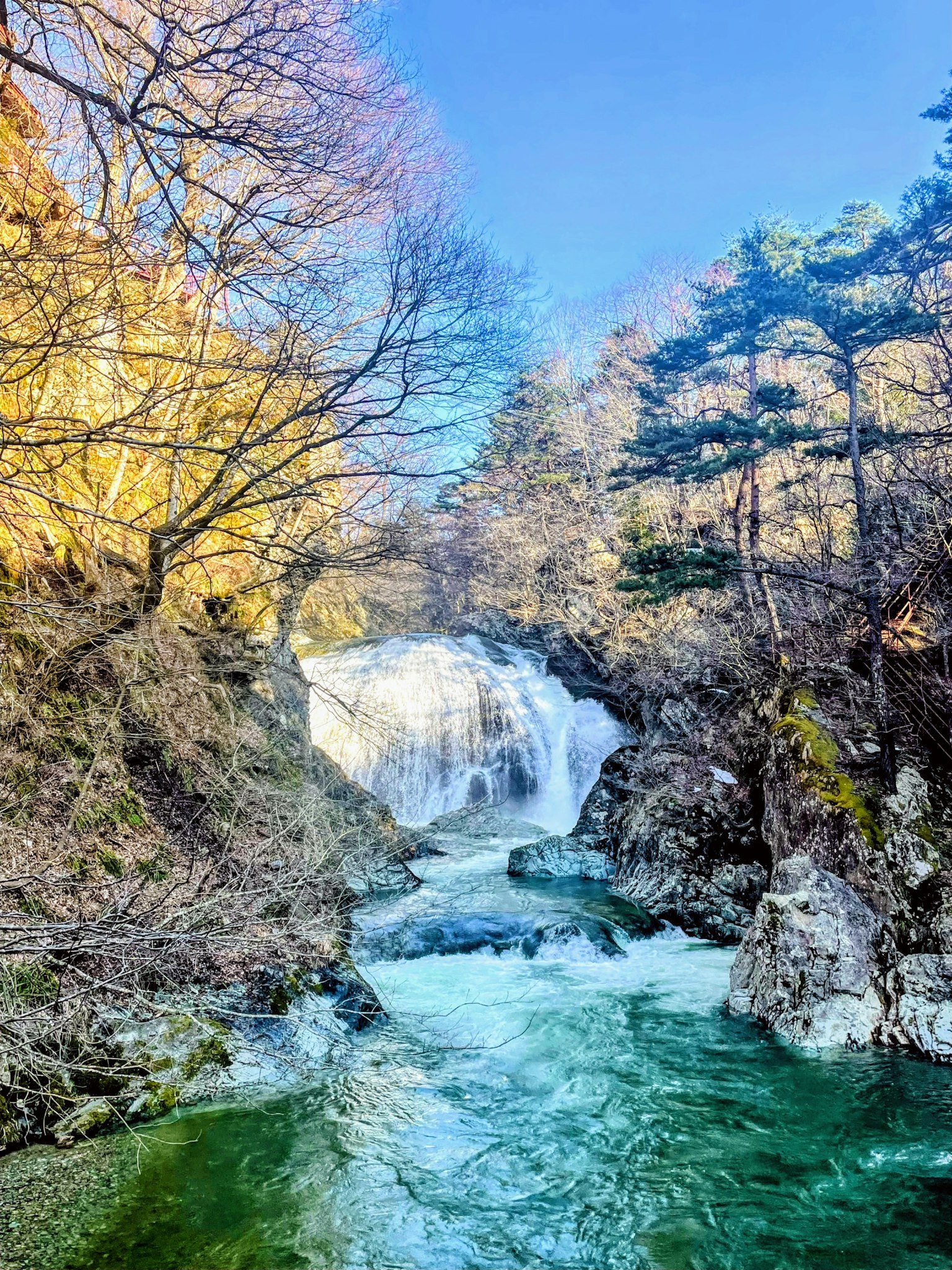 Vista panoramica di una cascata con acqua turchese circondata da alberi e rocce