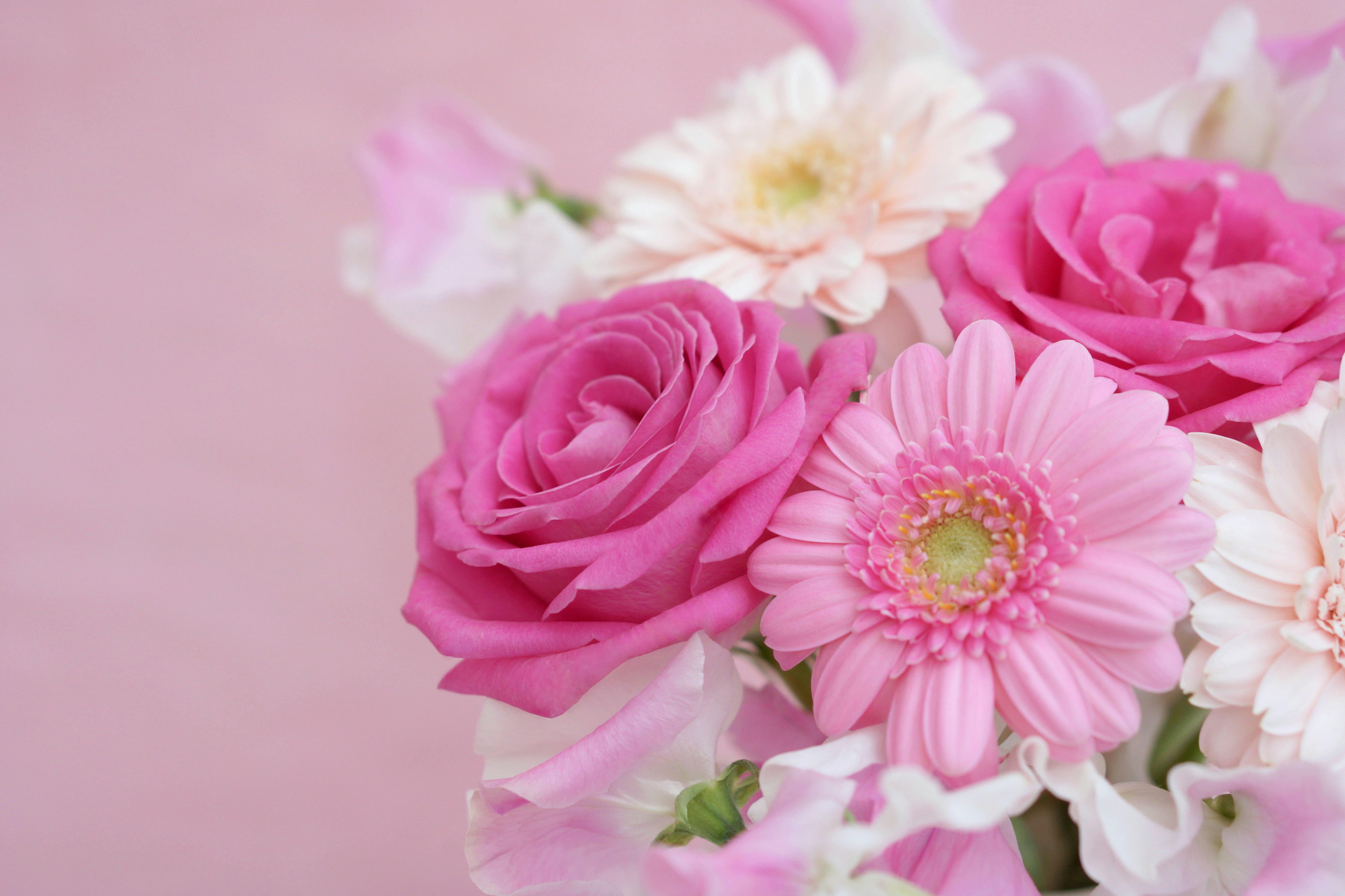 ピンクのバラとガーベラの花束
